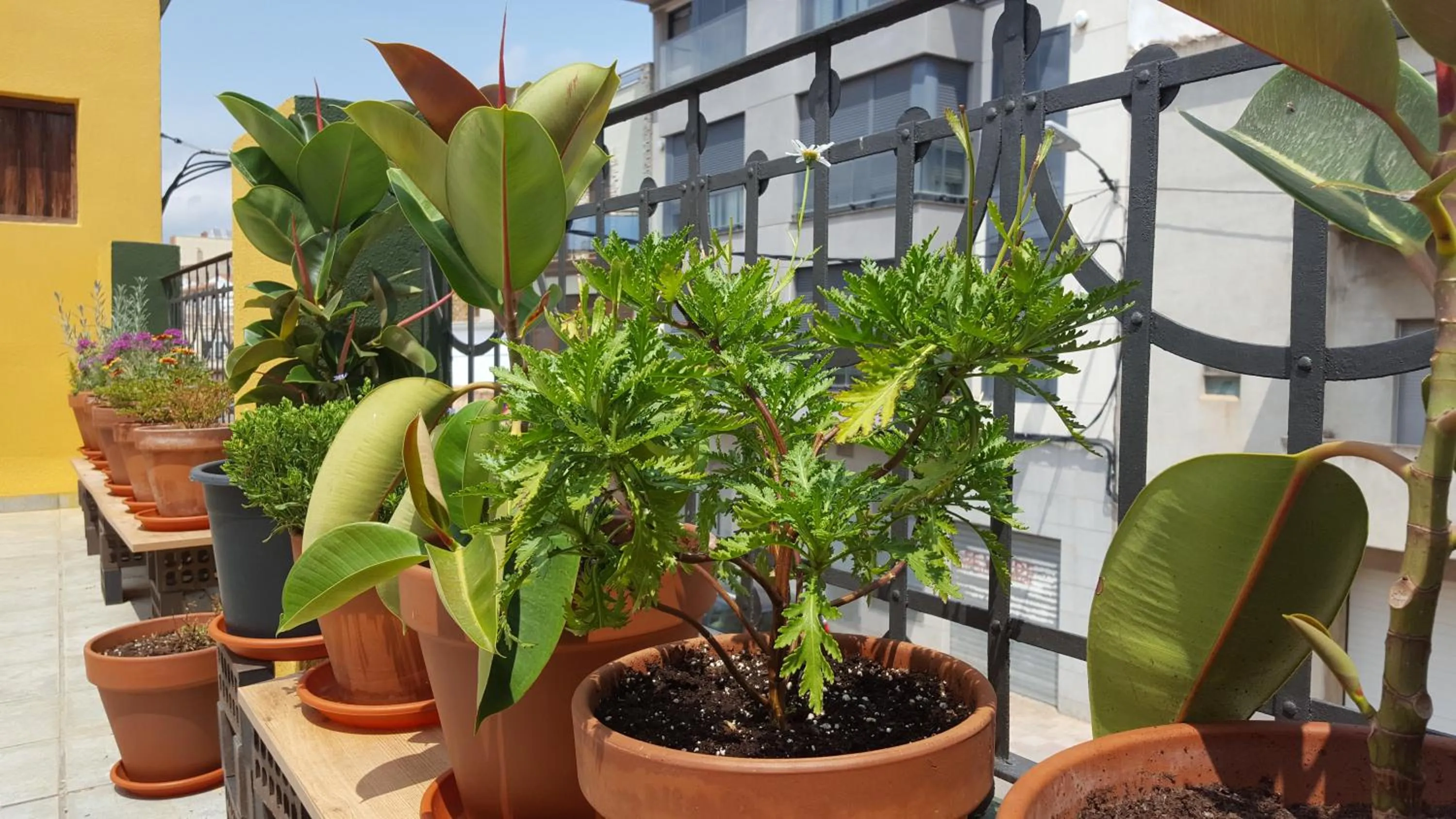 Property building in Vía Natura Hotel Rural