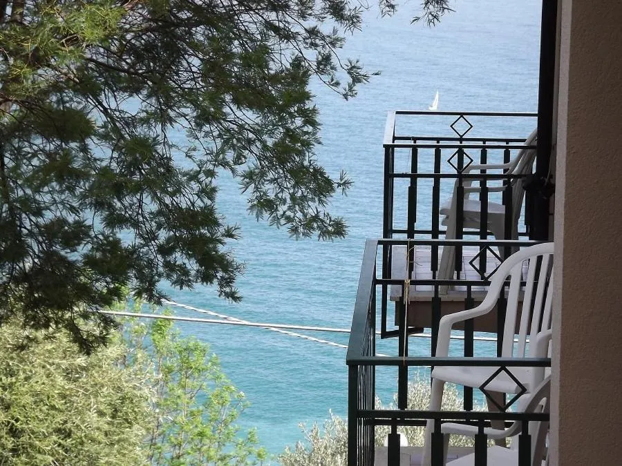 View (from property/room) in Hotel Rosita