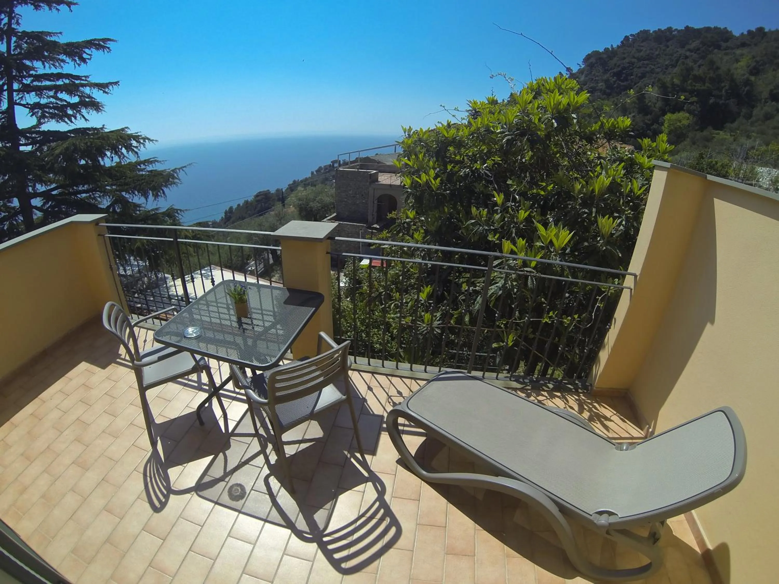 Photo of the whole room in Hotel Rosita