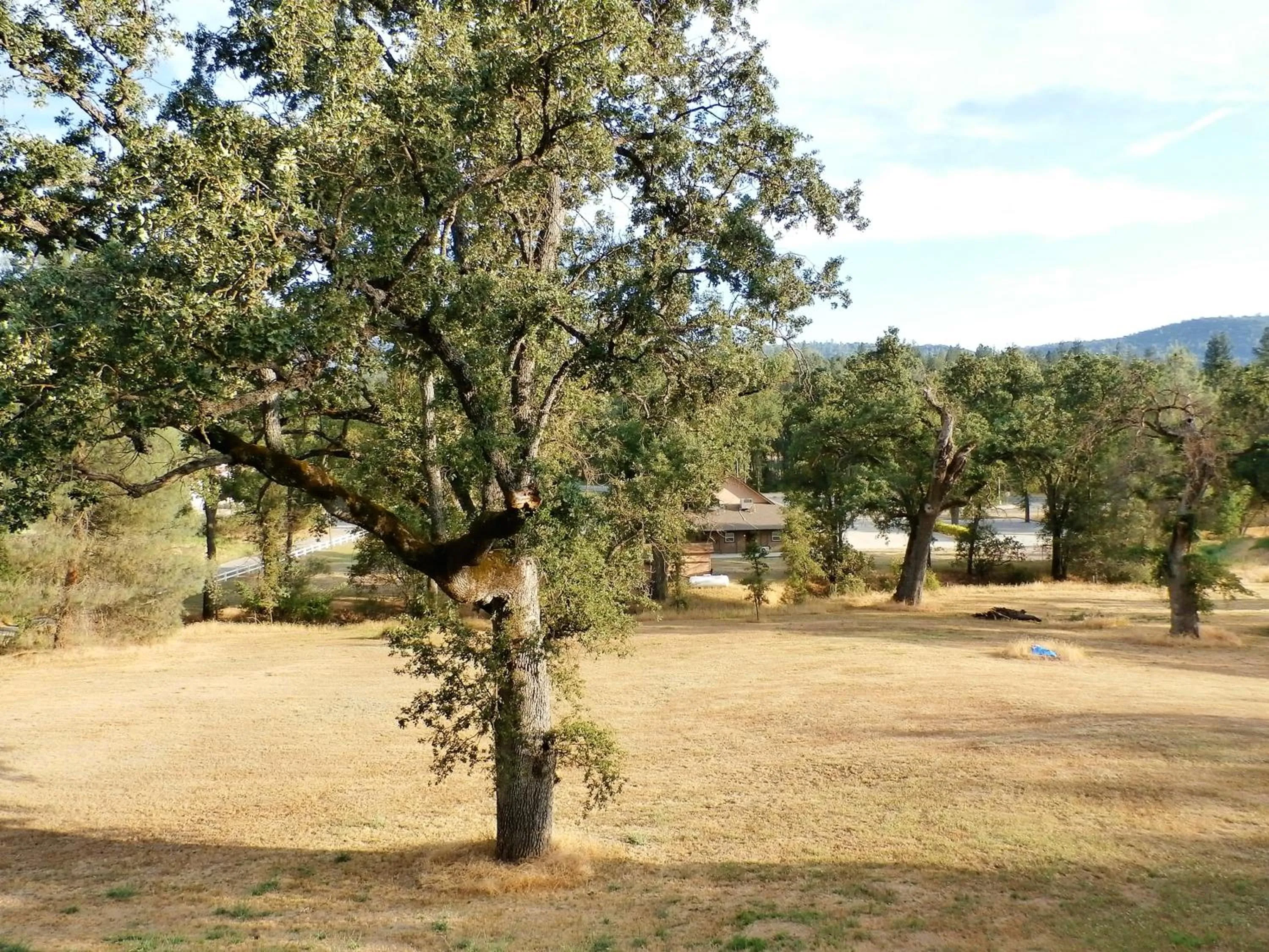 NEW CHARMING 2 BEDROOMS UNIT CLOSE TO EVERYTHING