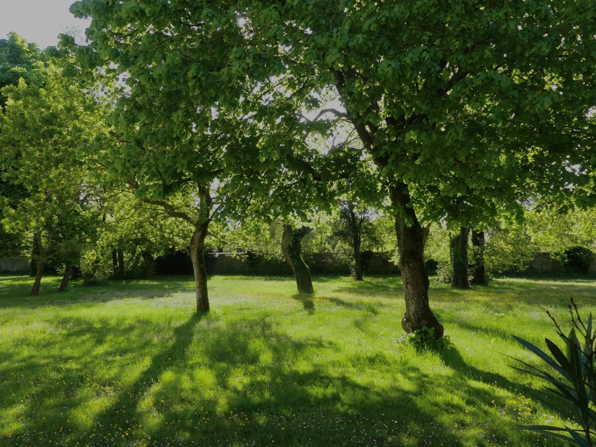 Hôtel et SPA du Château