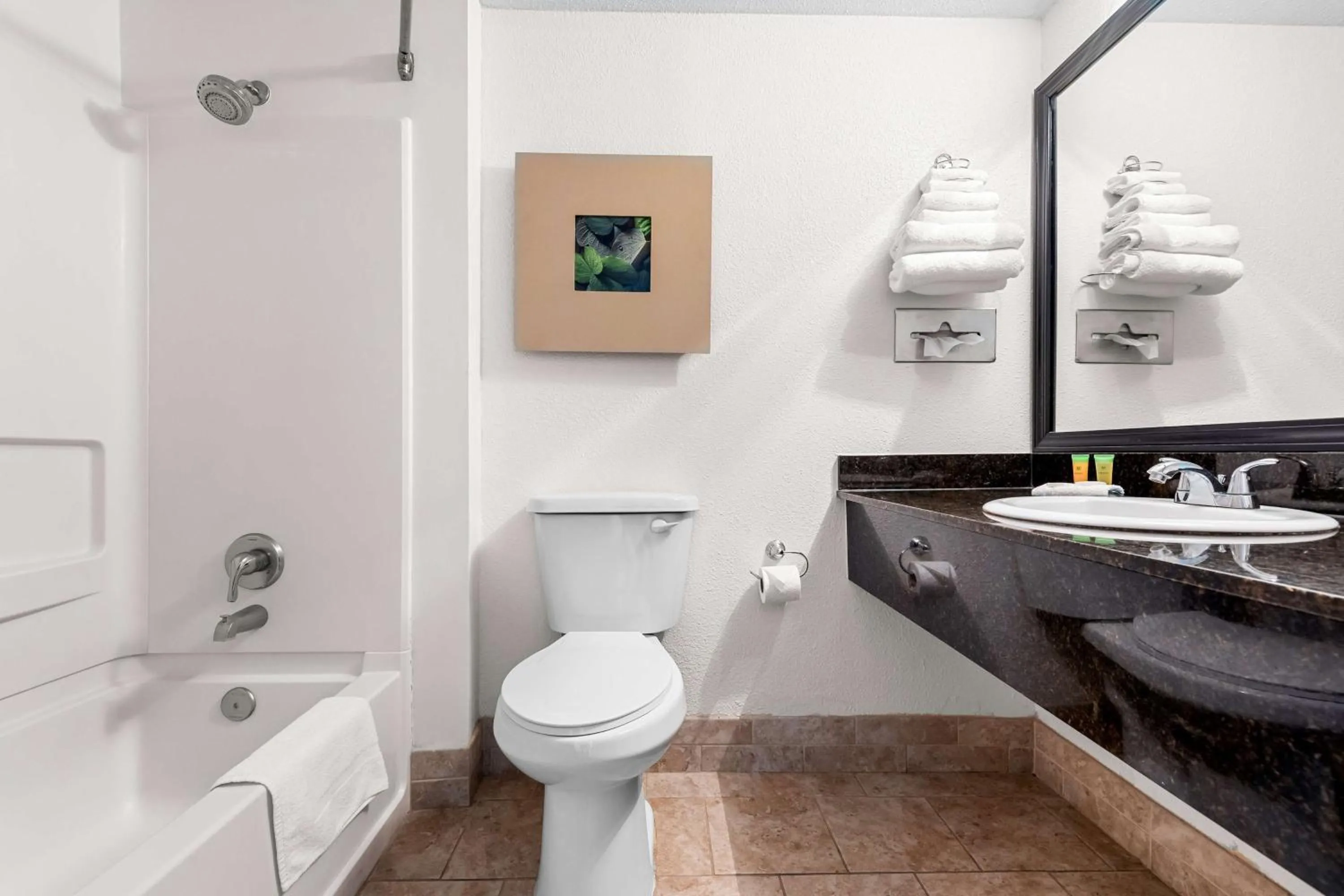 Bathroom in Magnolia Bluffs, BW Signature Collection