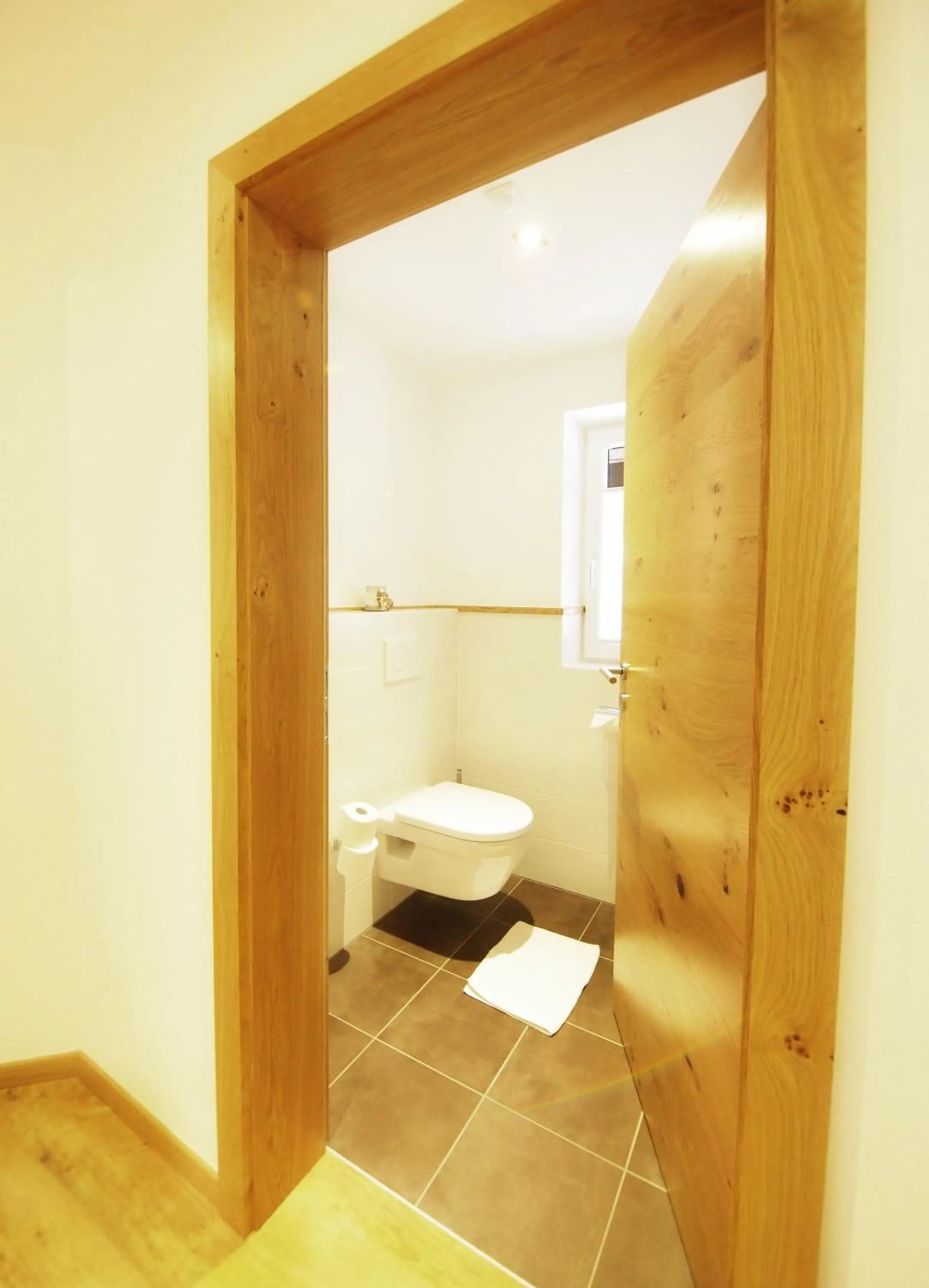 Toilet in Alpenapartments Unterschlag