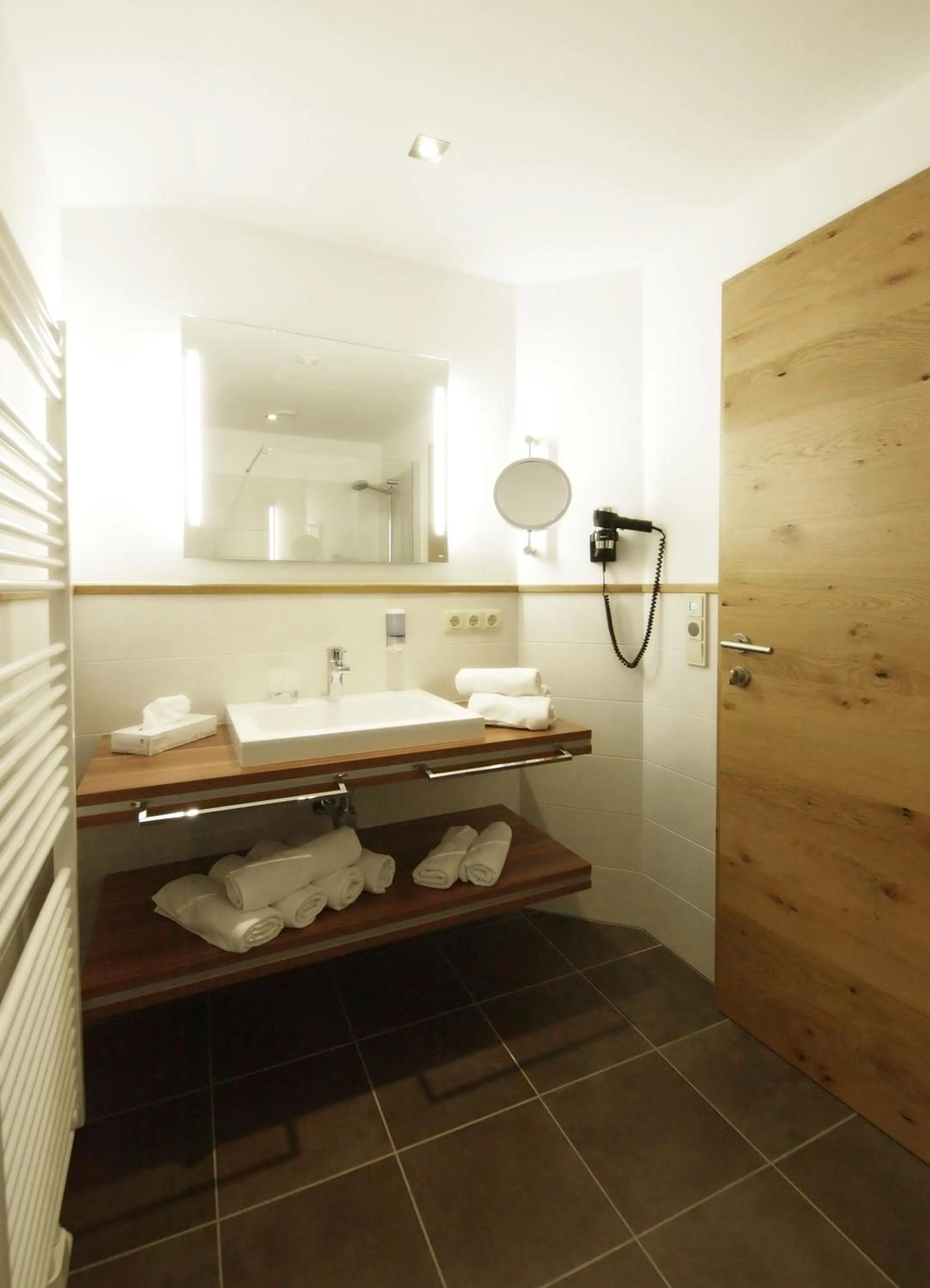 Shower in Alpenapartments Unterschlag