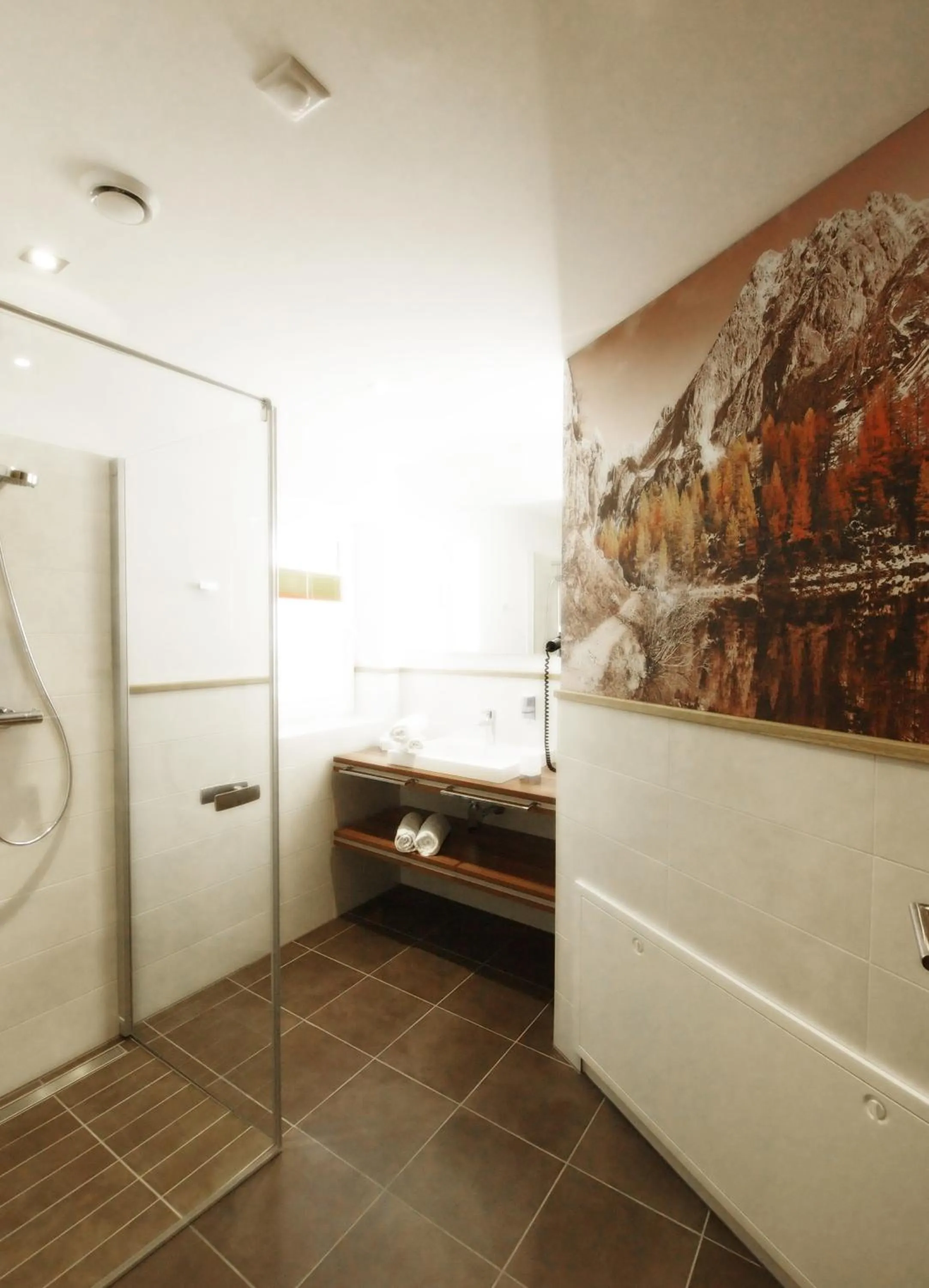 Shower in Alpenapartments Unterschlag