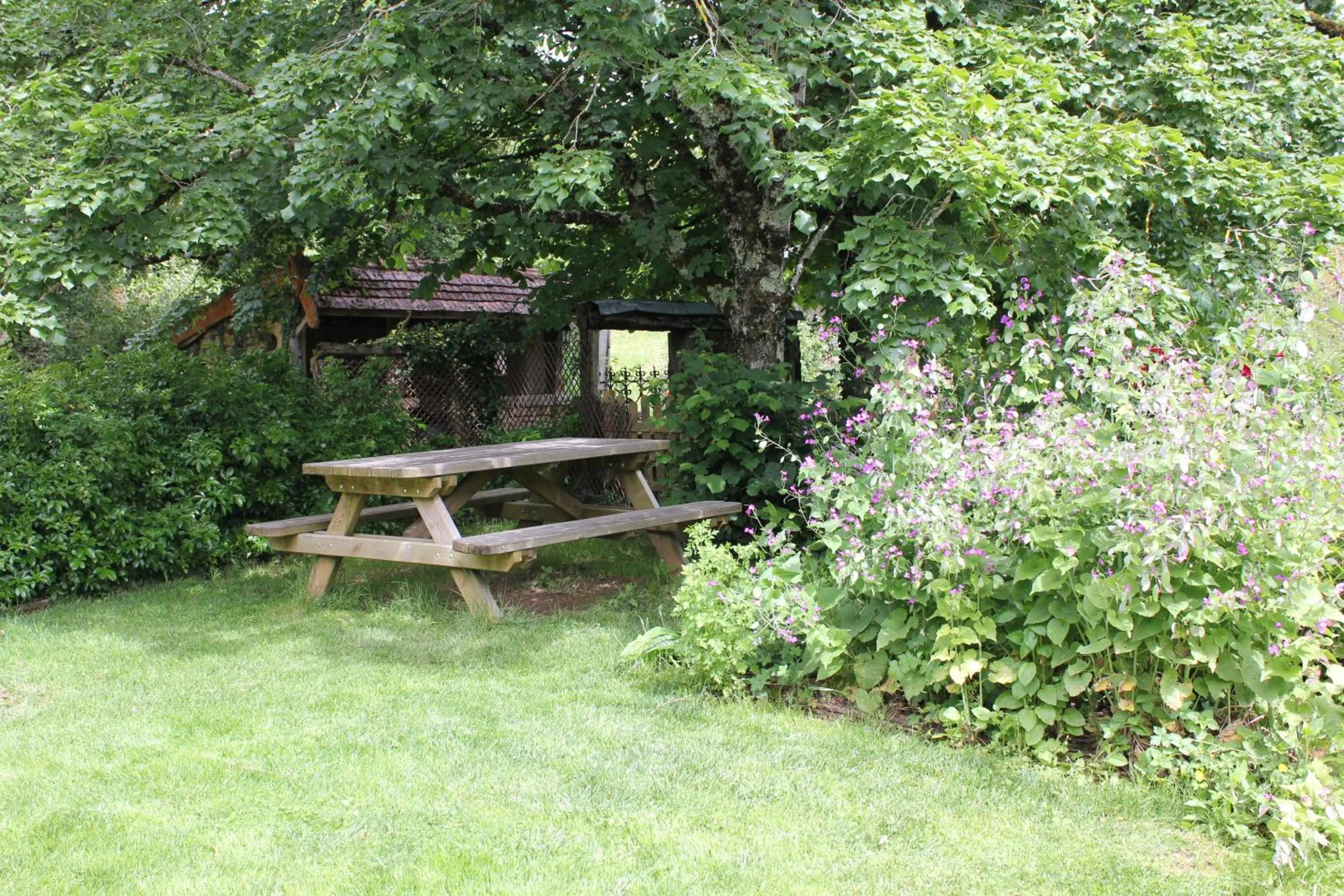 Garden in Les Terrasses de Labade Gîte et Chambres d'hôtes