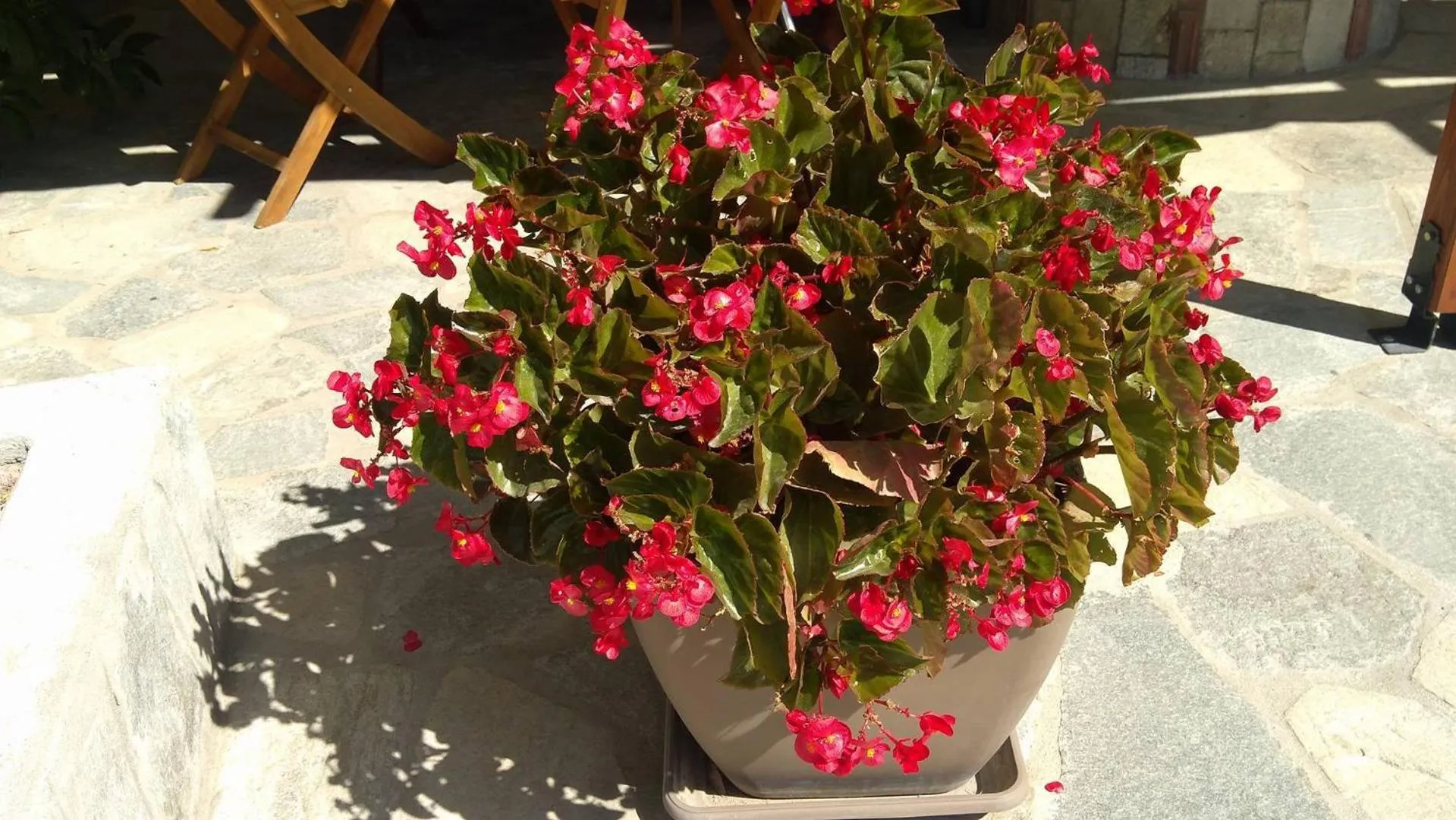 Facade/entrance in Prosforio