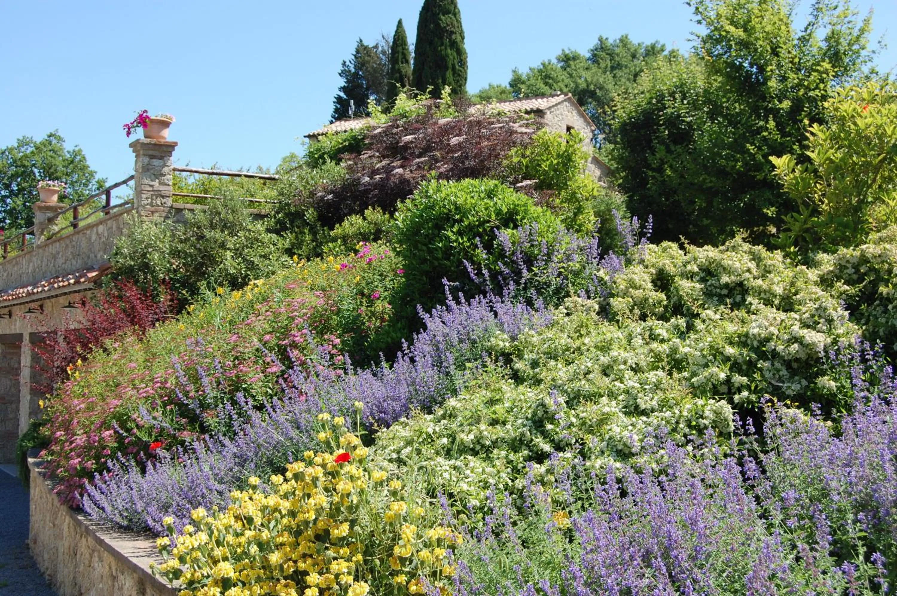 Natural landscape in Borgo Fastelli