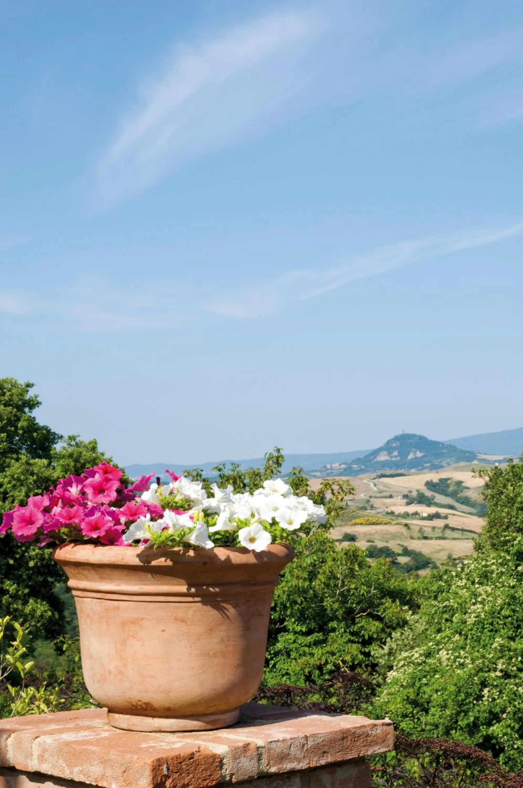 Natural landscape in Borgo Fastelli