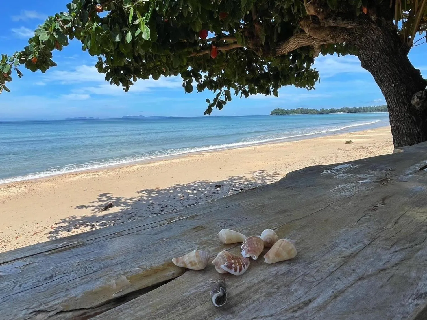 Andaman Lanta Resort - SHA Extra Plus