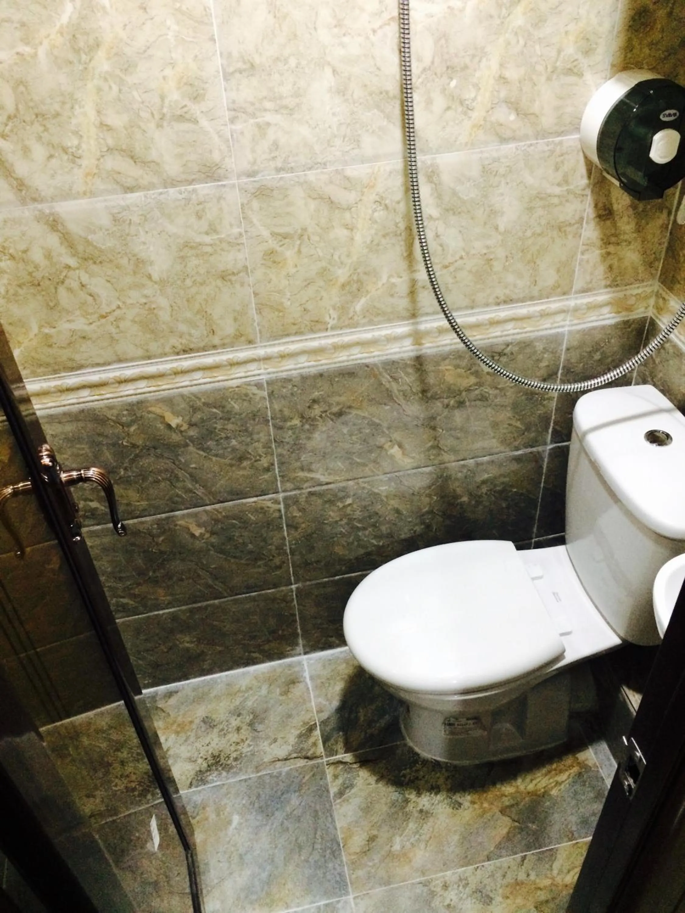 Shower in Victoria Inn