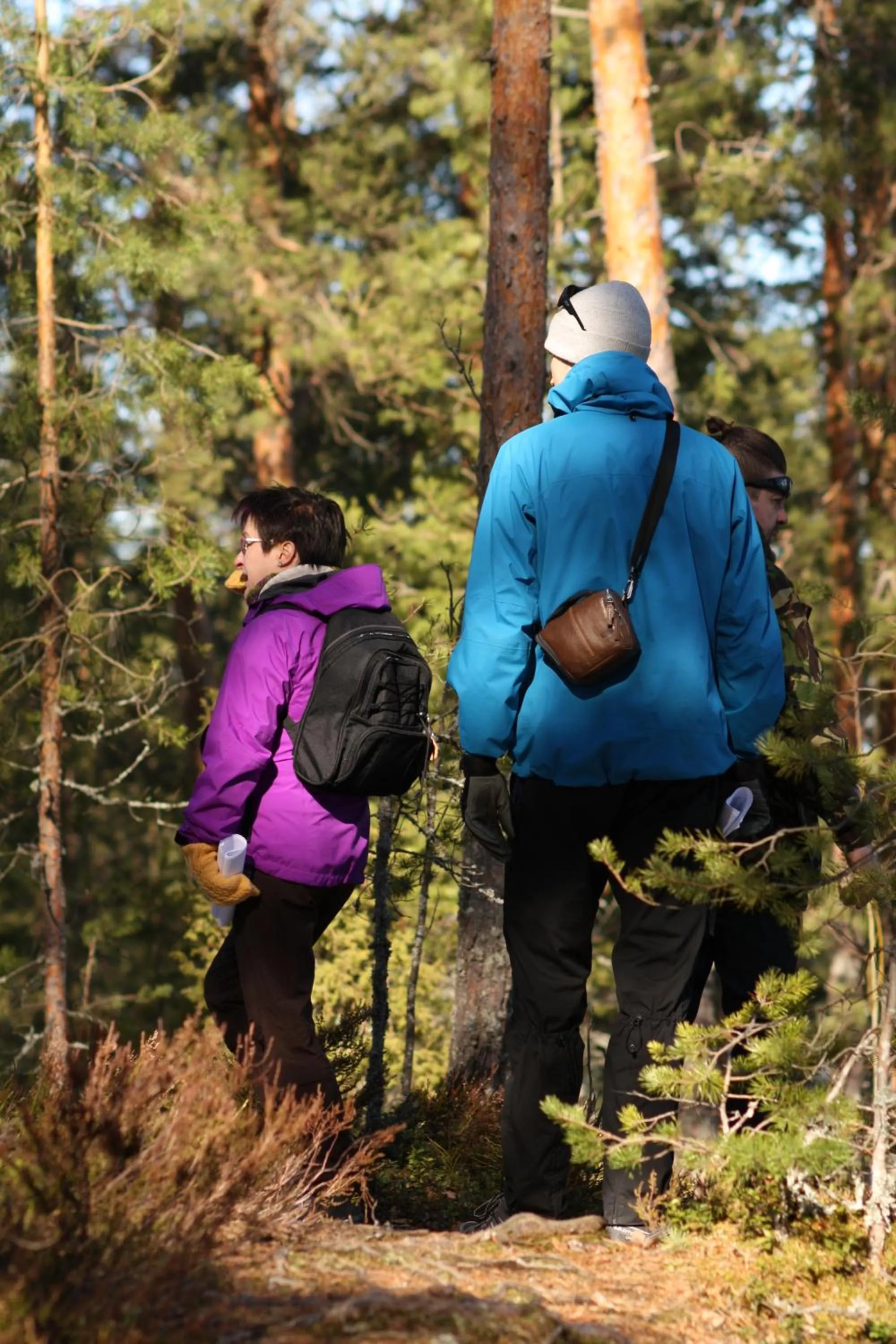 Hiking in Summer Hotel Vuorilinna