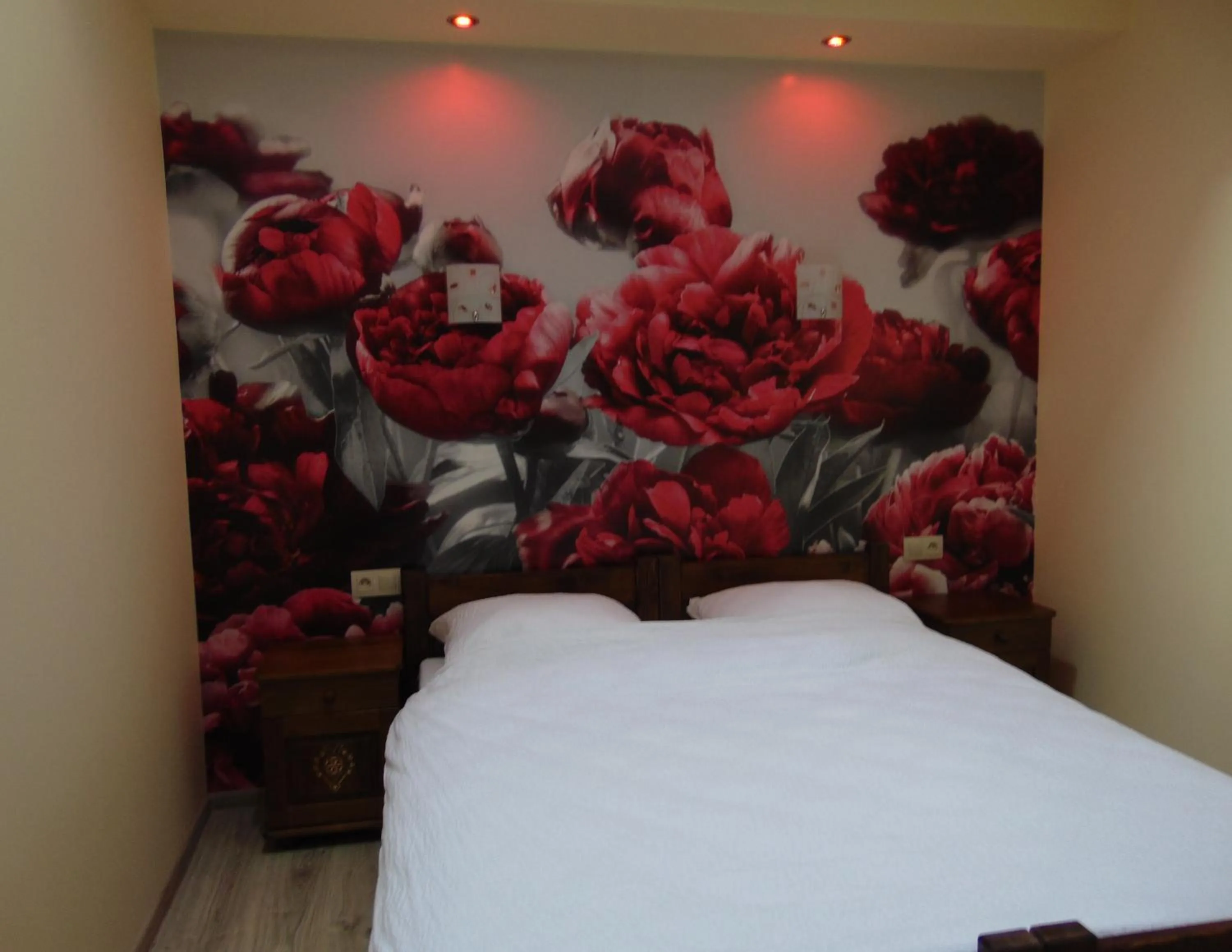 Bedroom, Bed in Gosciniec Pod Brzegiem