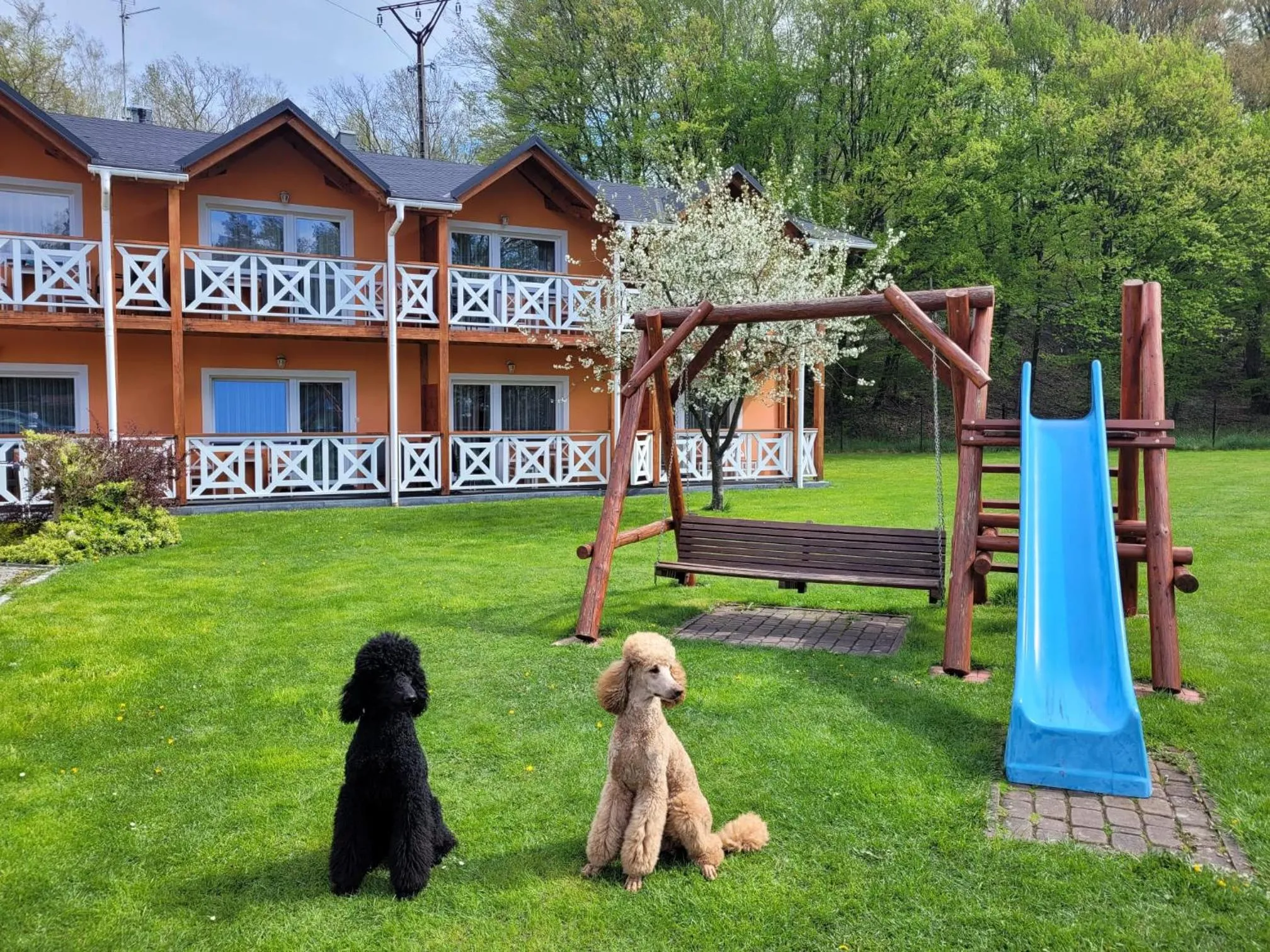 Natural landscape in Gosciniec Pod Brzegiem