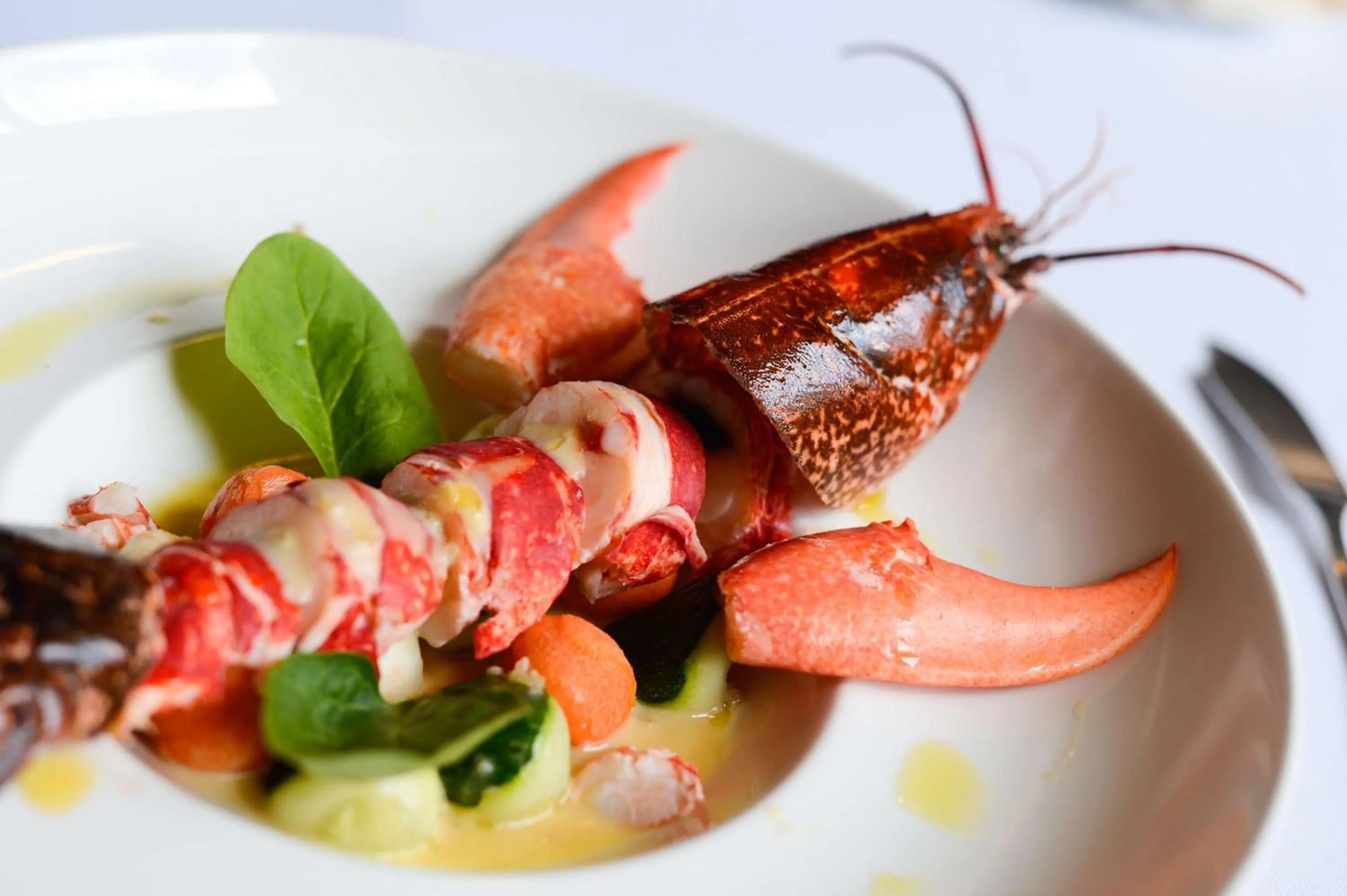 Food and drinks in Brit Hotel Du Dauphin L'Aigle