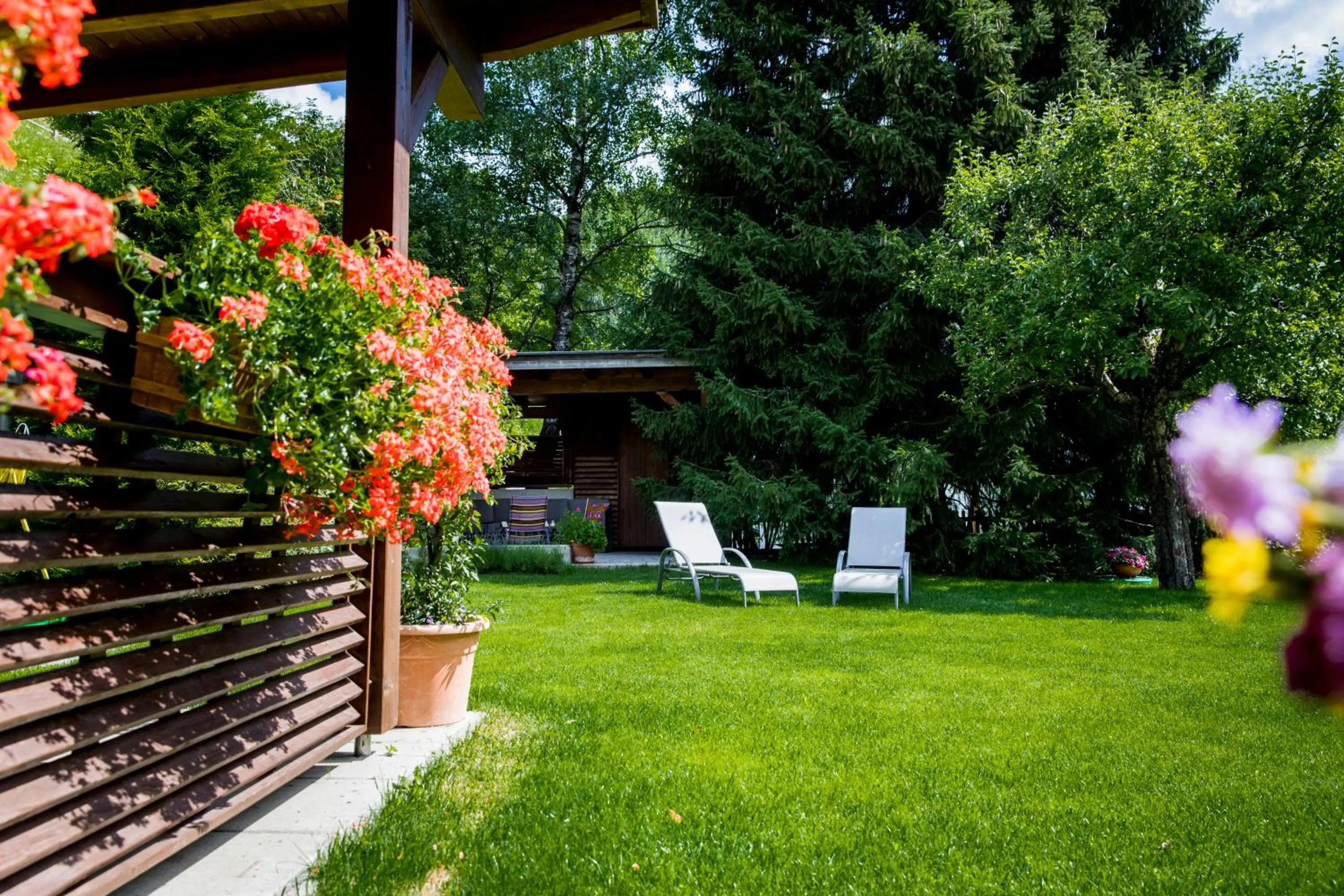 Garden in Hotel Montfort