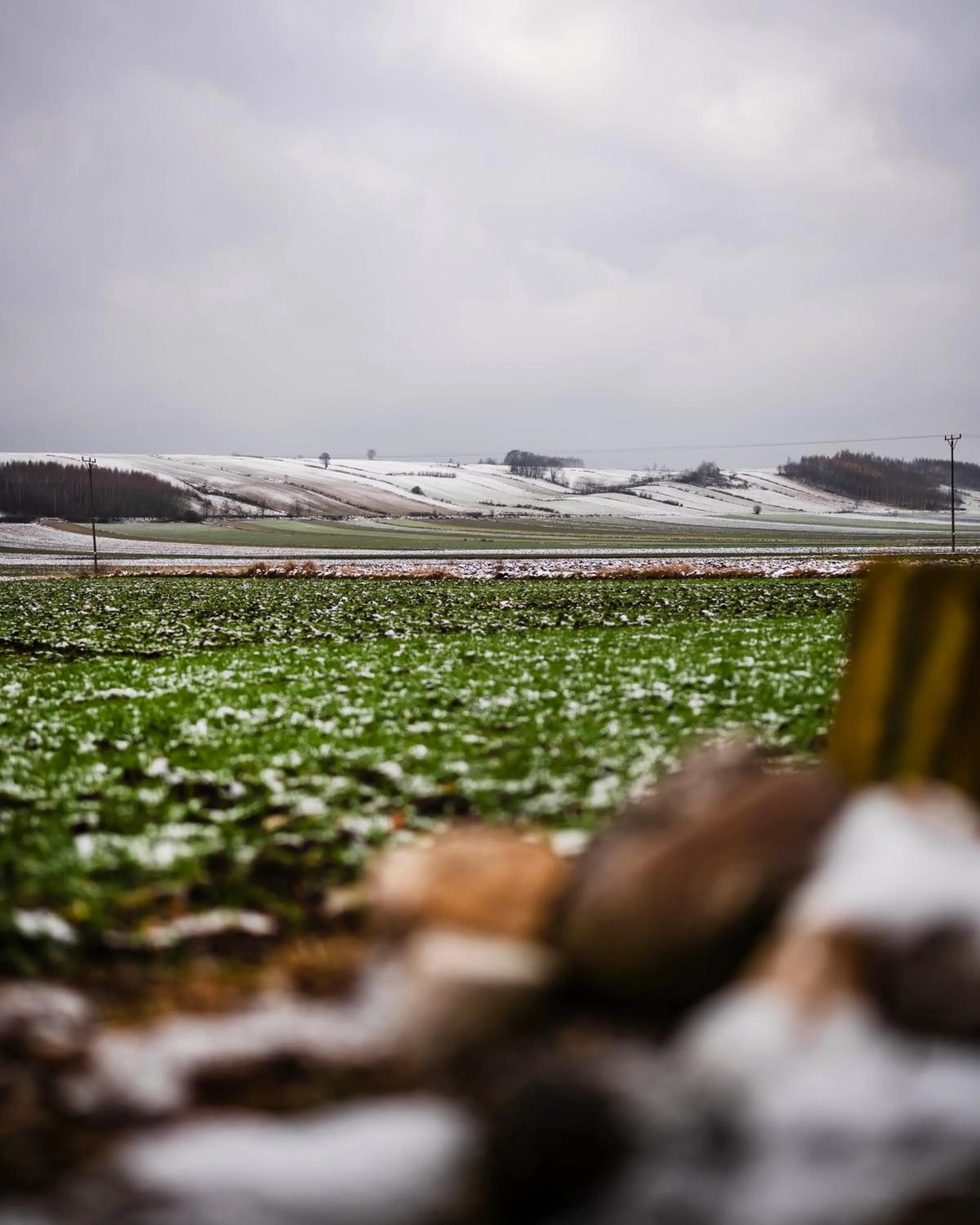 Area and facilities in Dosłońce Resort Wellness & Farm