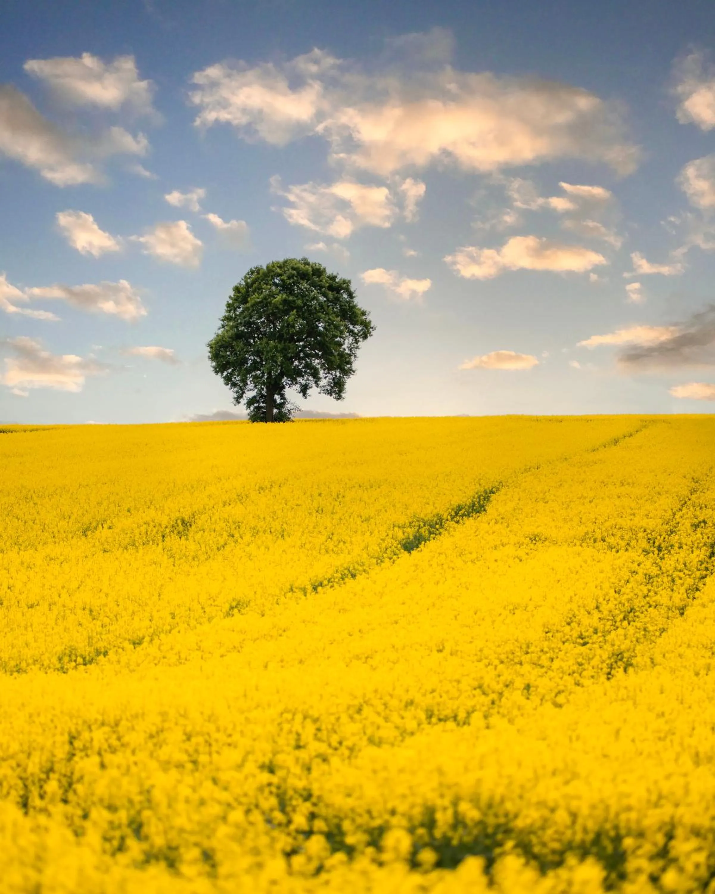 Spring in Dosłońce Resort Wellness & Farm