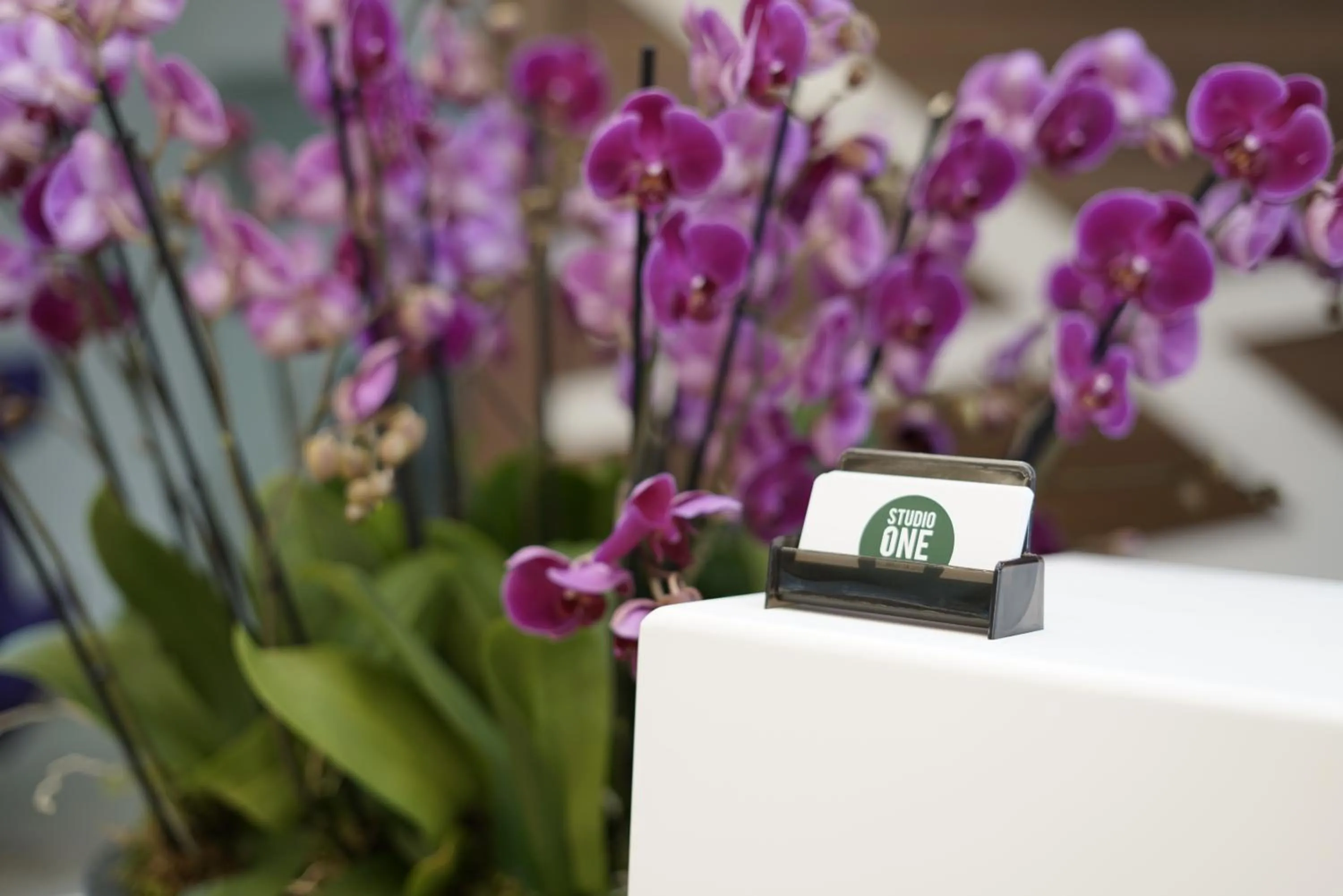 Lobby or reception in Studio One Accommodation Suites