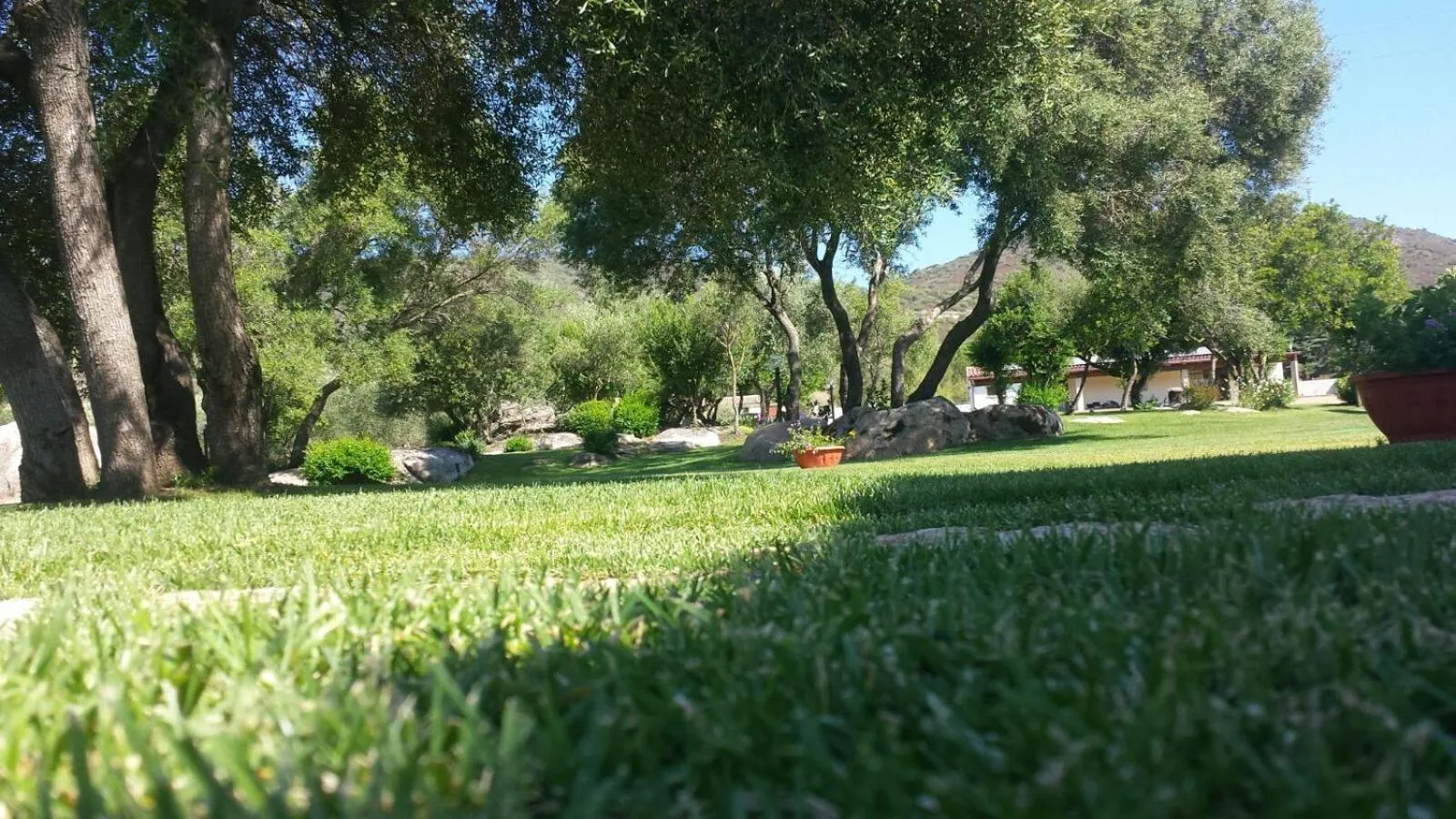 Garden in B&B Majore