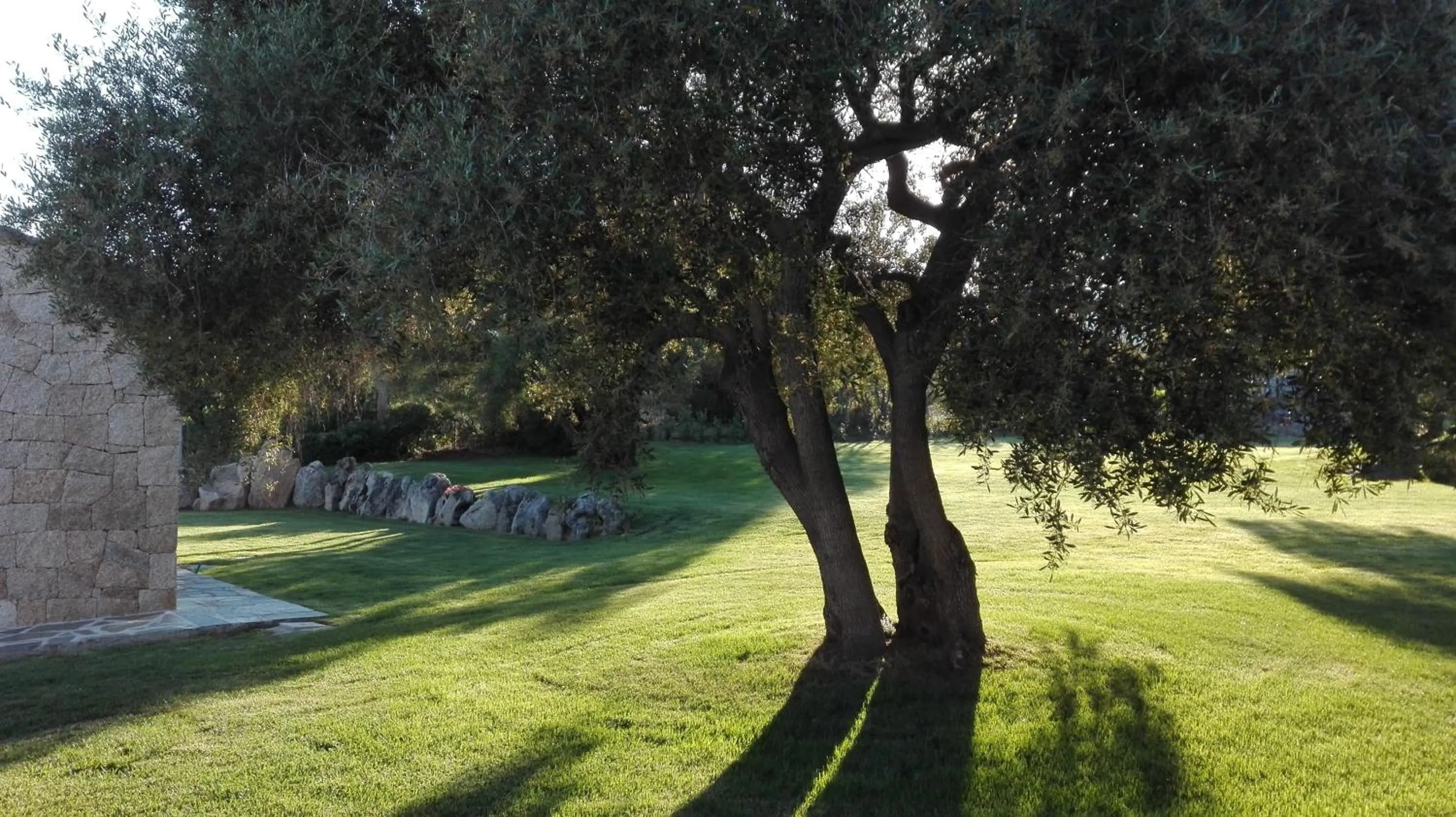 Property building in B&B Majore