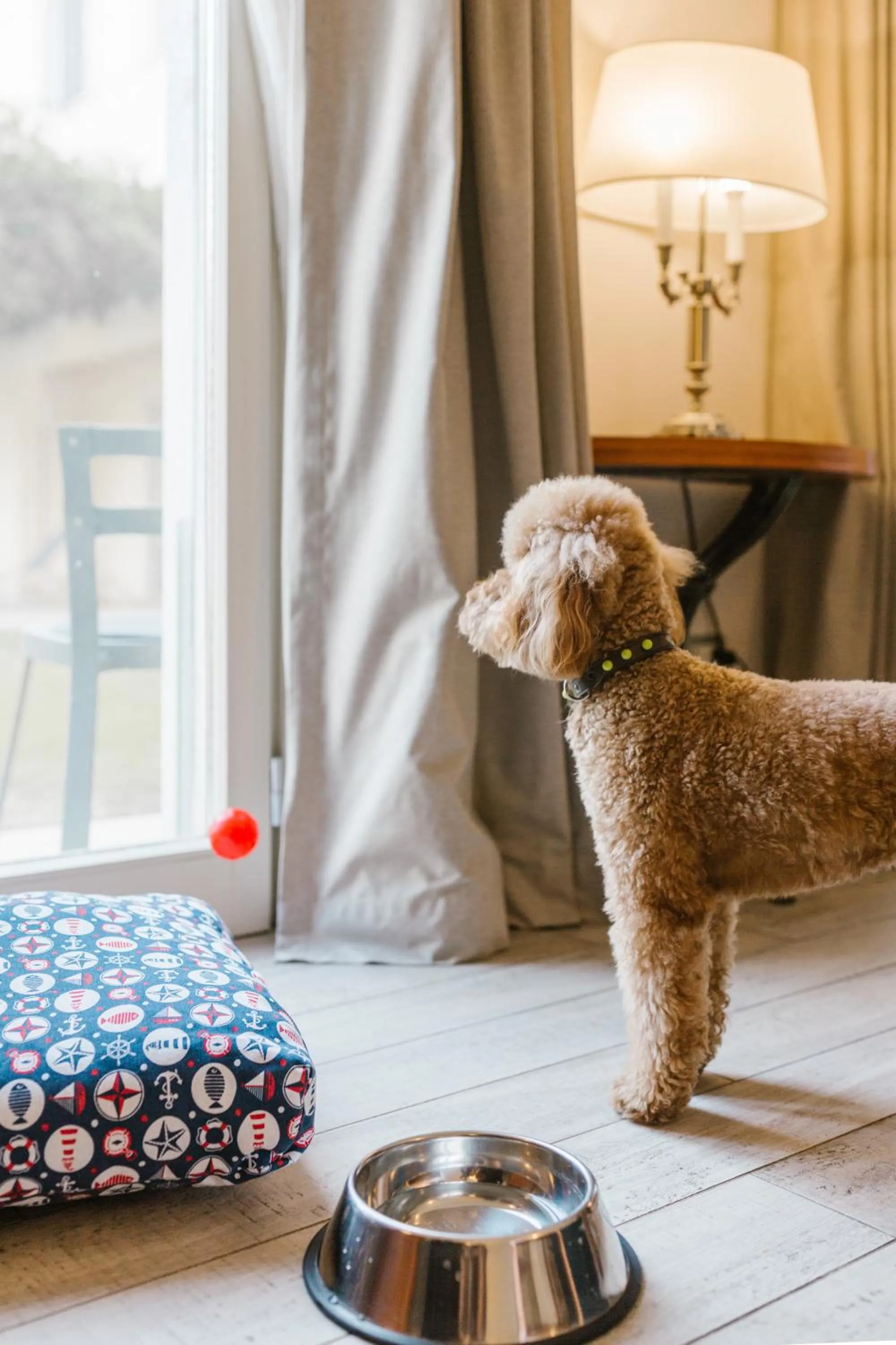 Pets in Terme di Saturnia Natural Spa & Golf Resort - The Leading Hotels of the World