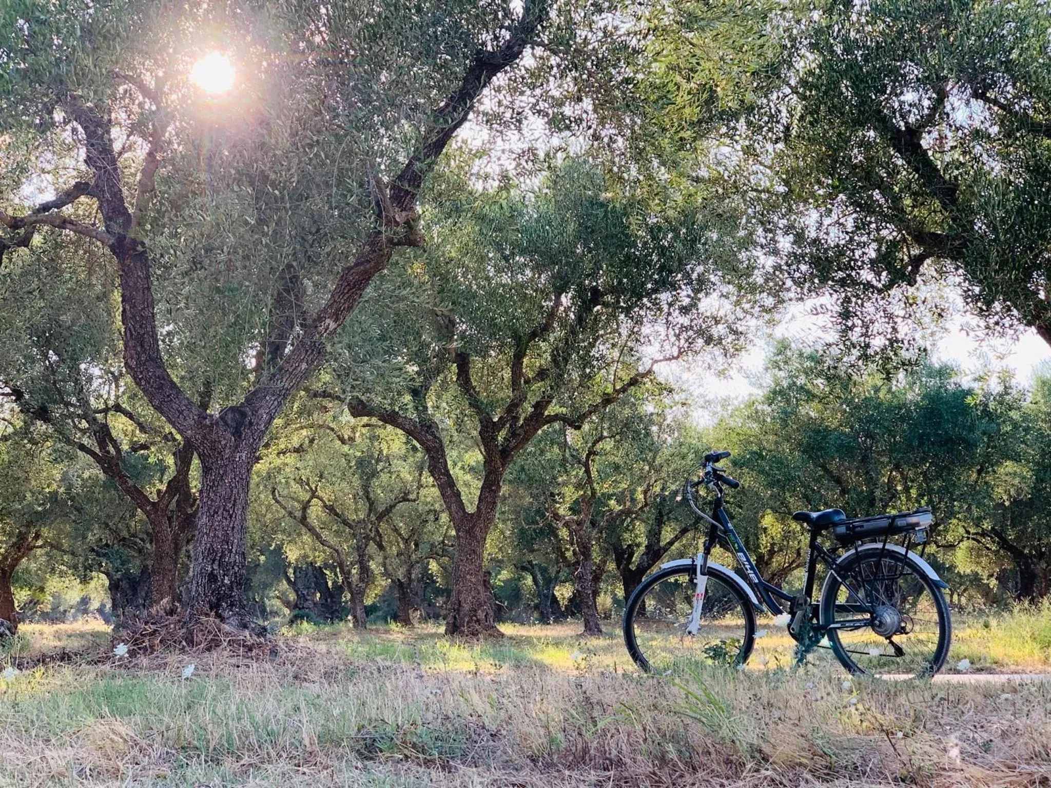 Activities in Castelli Hotel-Adults Only