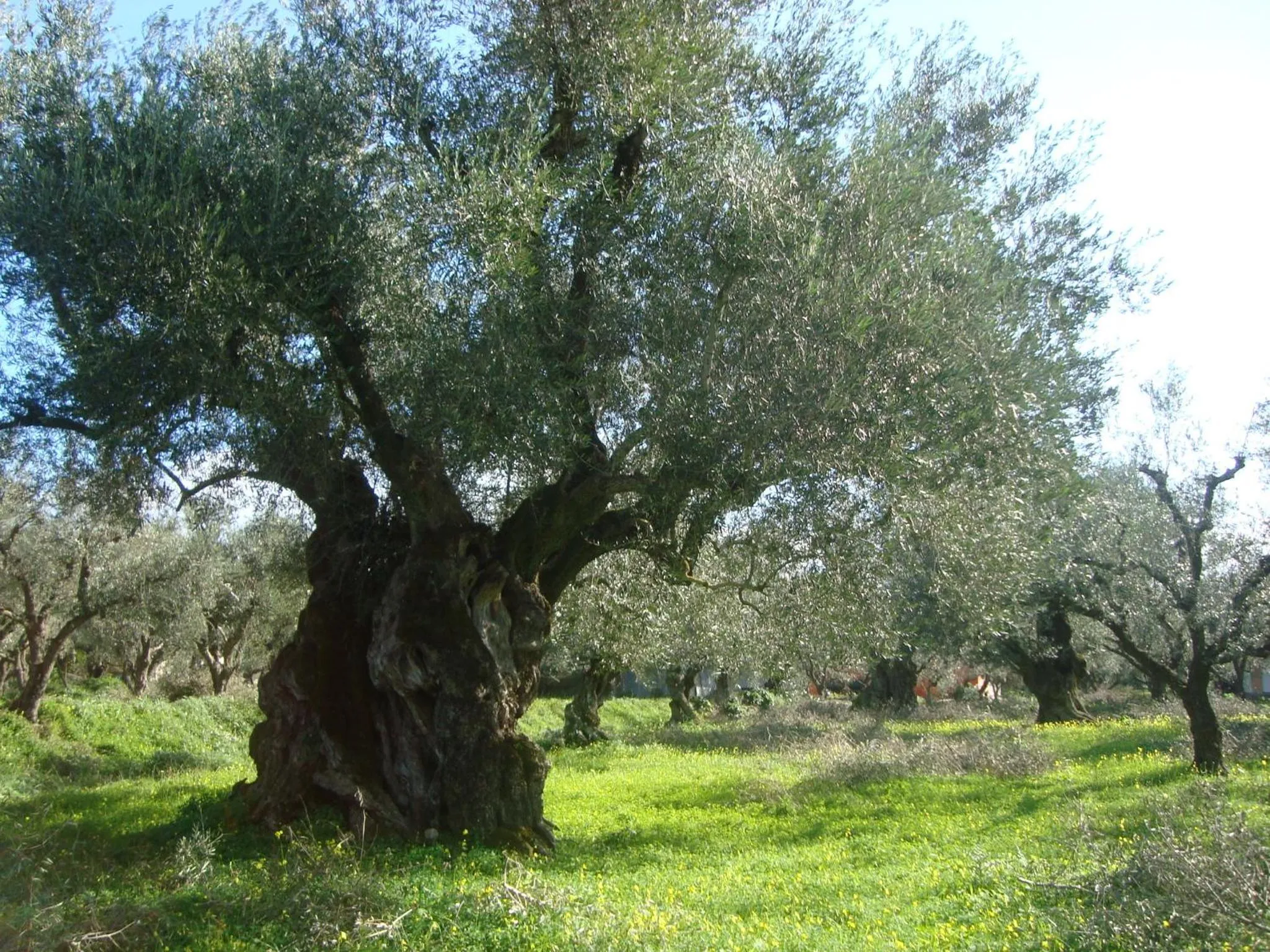 Other in Castelli Hotel-Adults Only