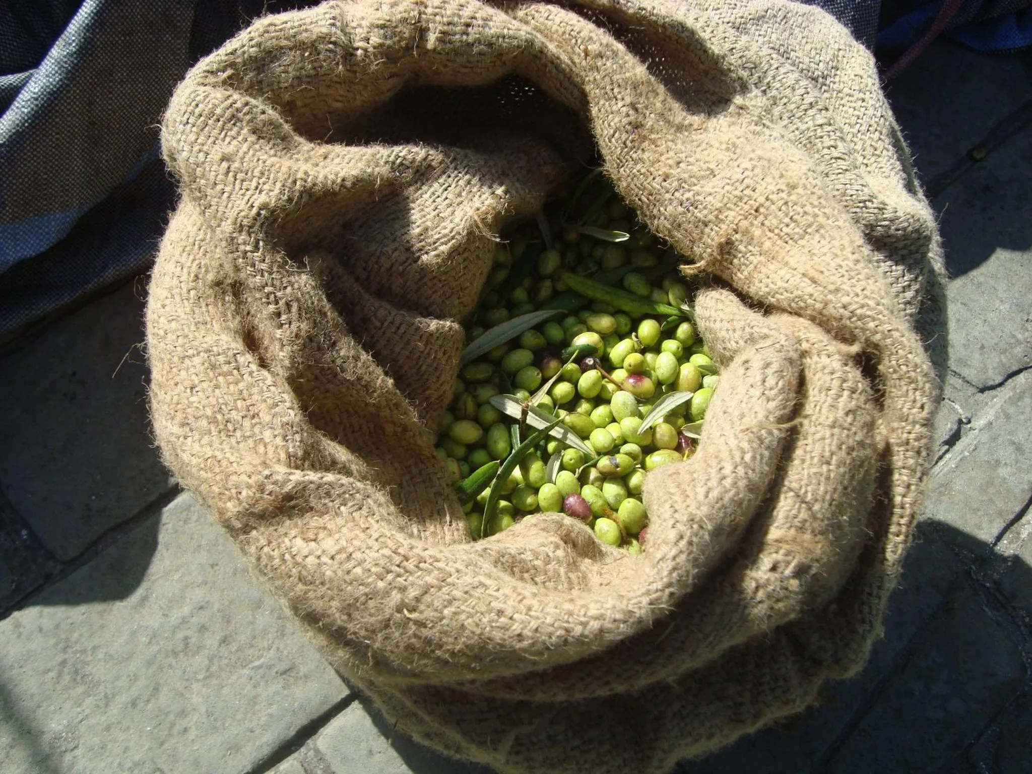 Garden in Castelli Hotel-Adults Only