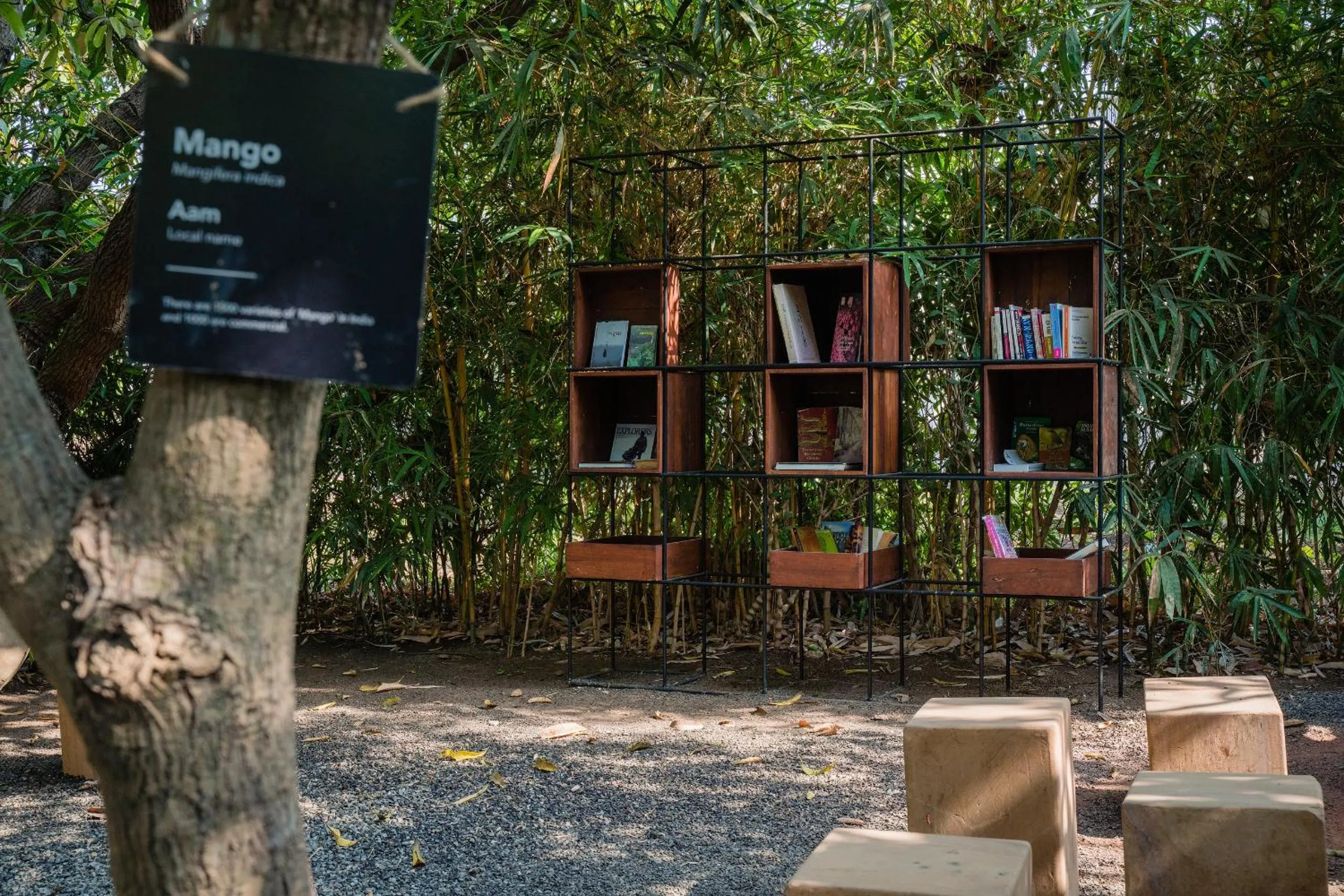 Natural landscape in Woods at Sasan