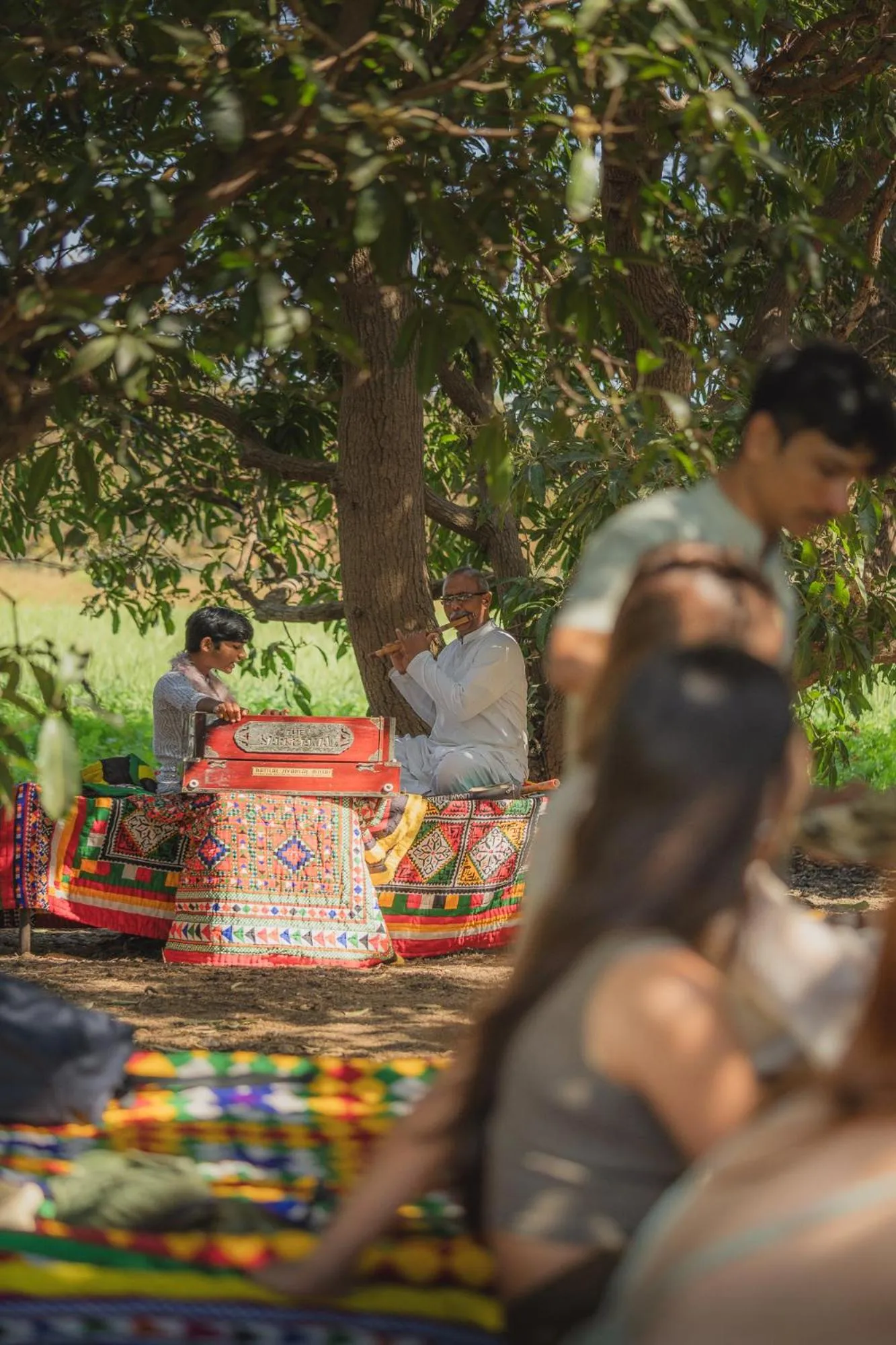 Garden in Woods at Sasan