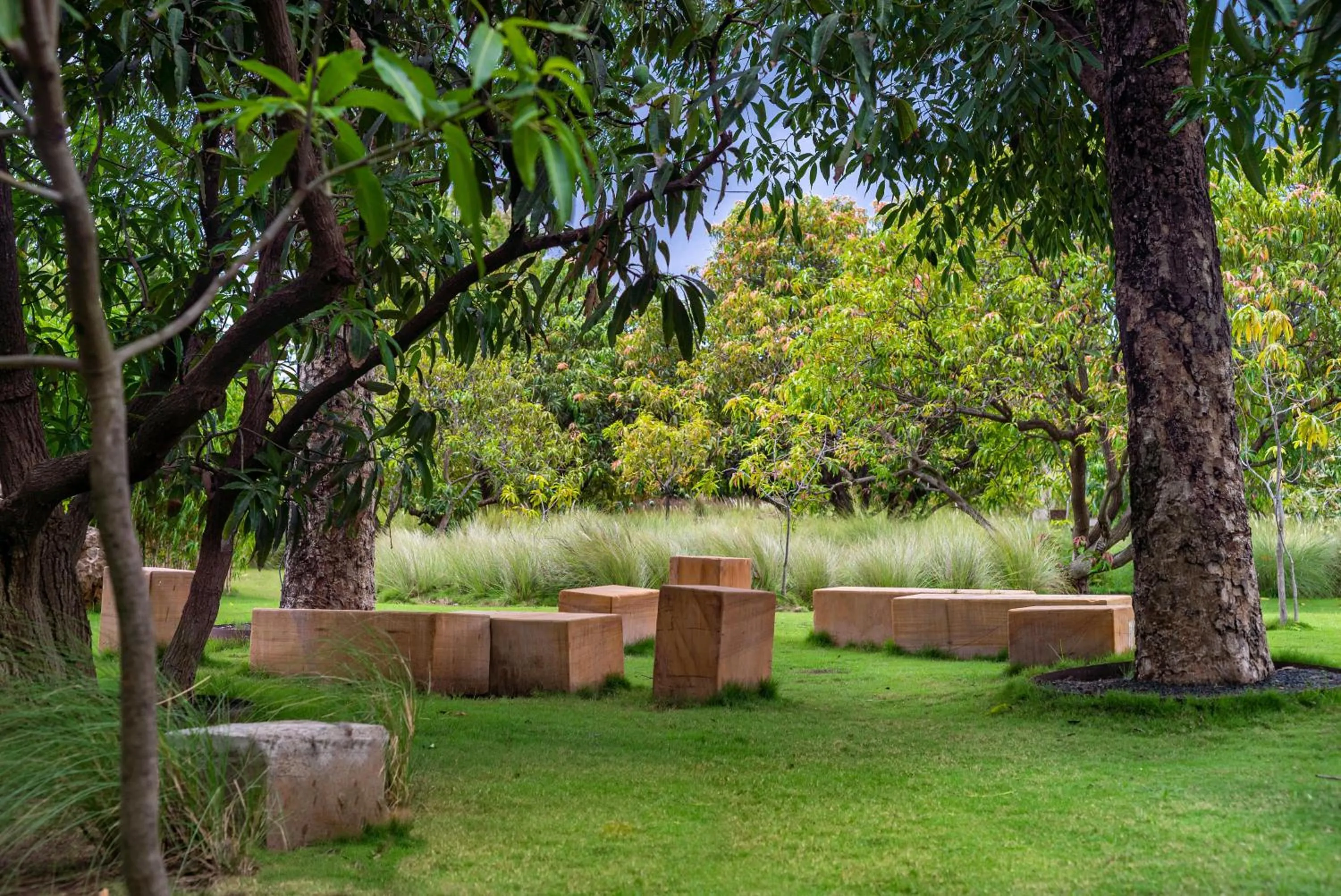 Natural landscape in Woods at Sasan