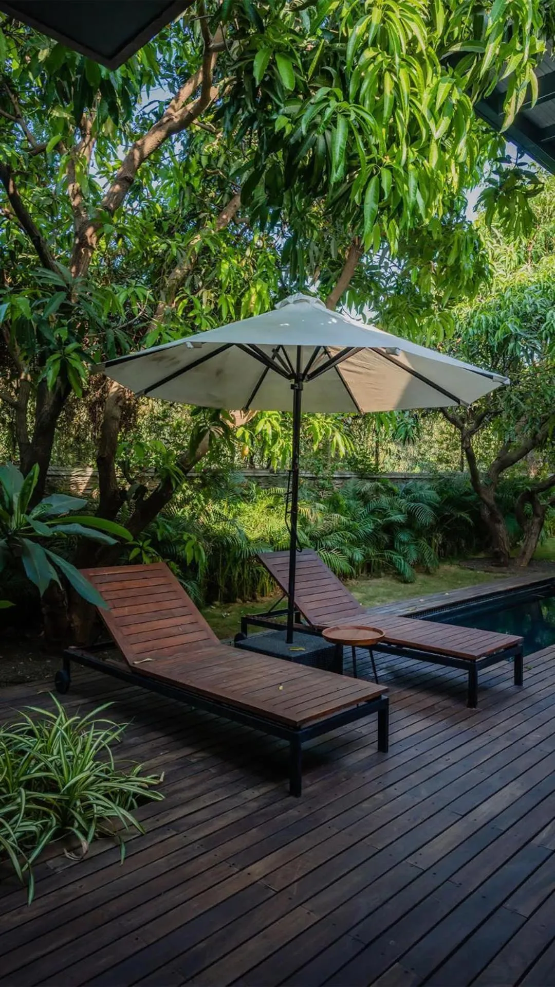 Patio in Woods at Sasan