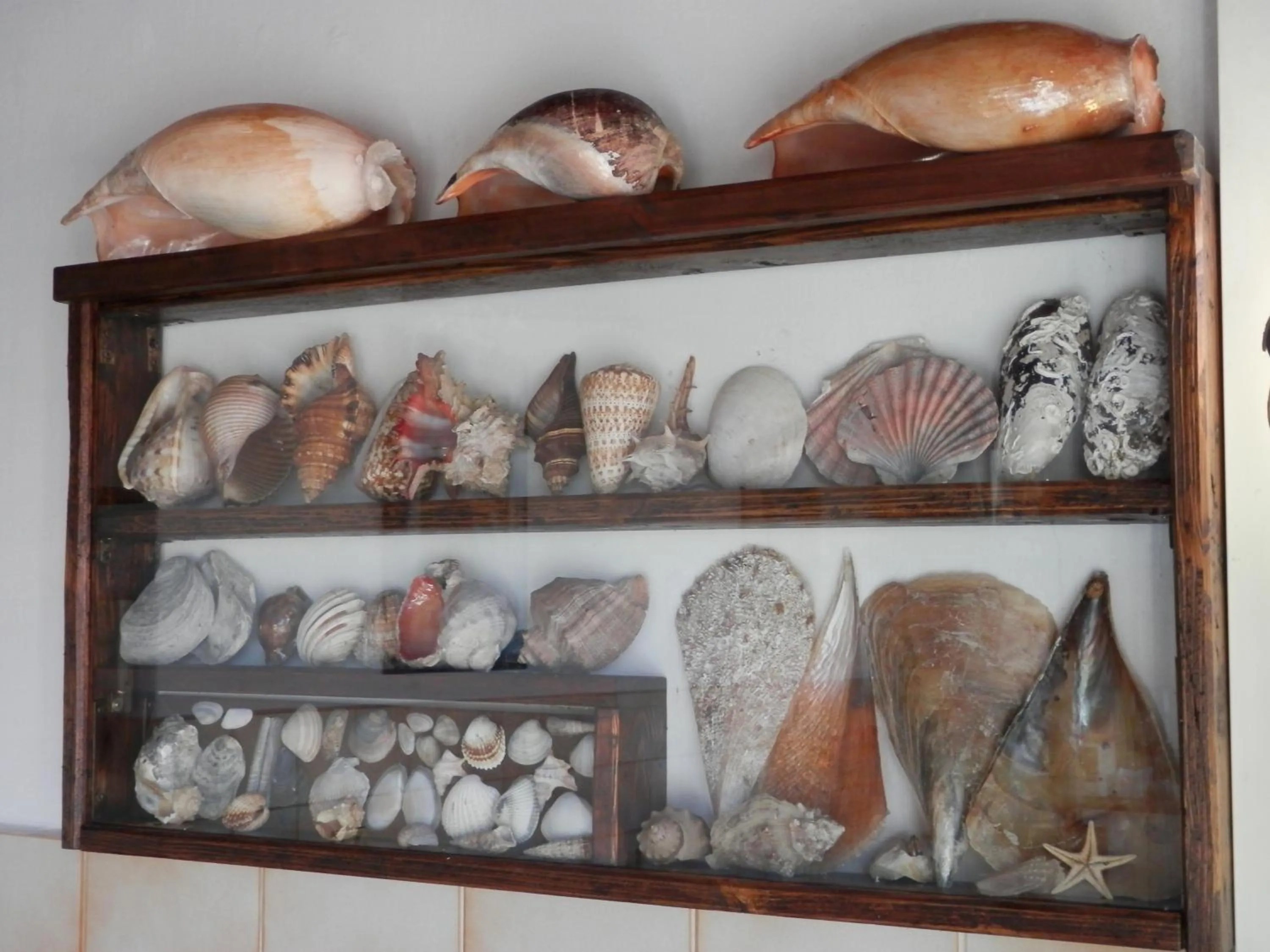 Decorative detail in B&B Attico Mare