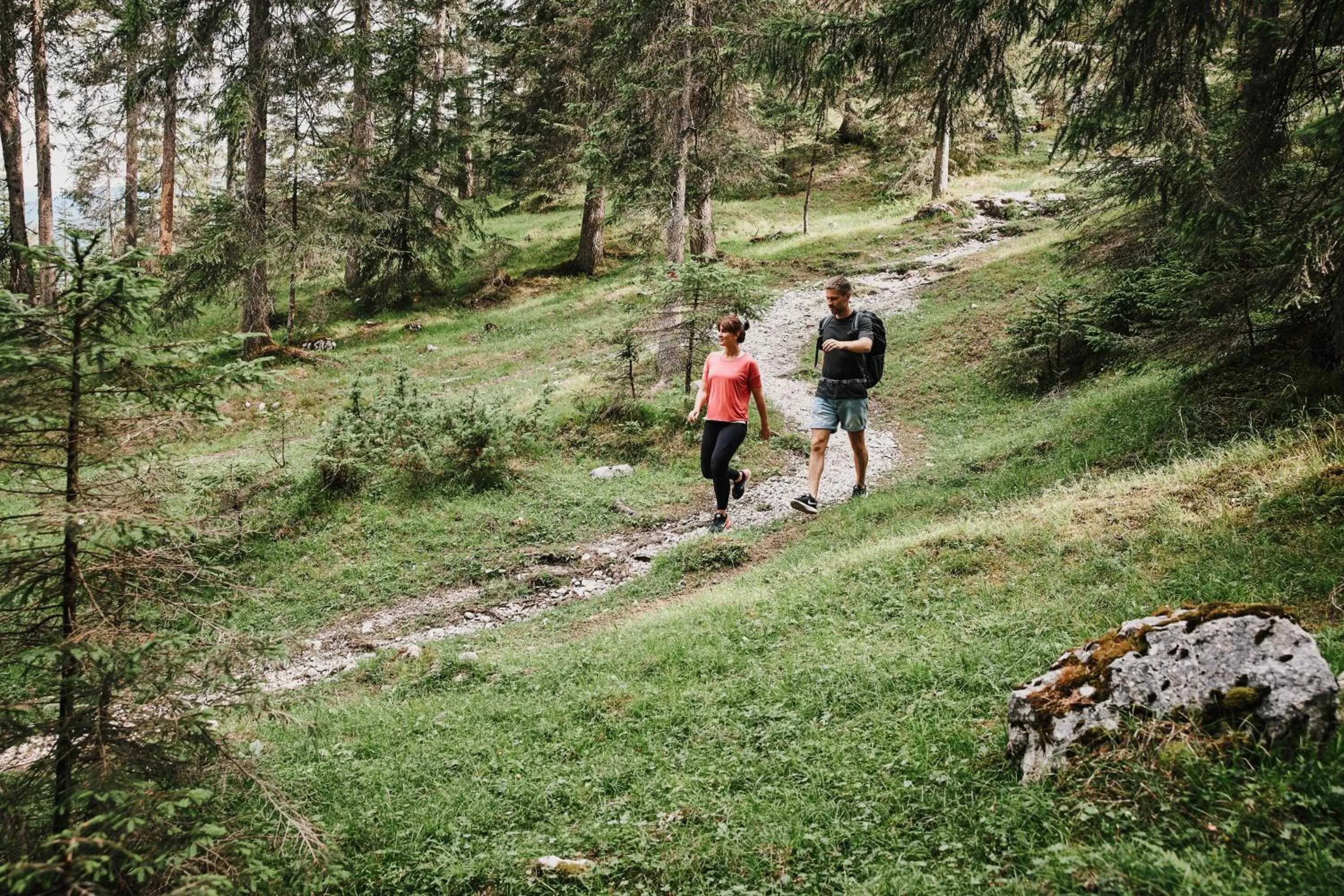 Natural landscape in Das Kronthaler - Adults only