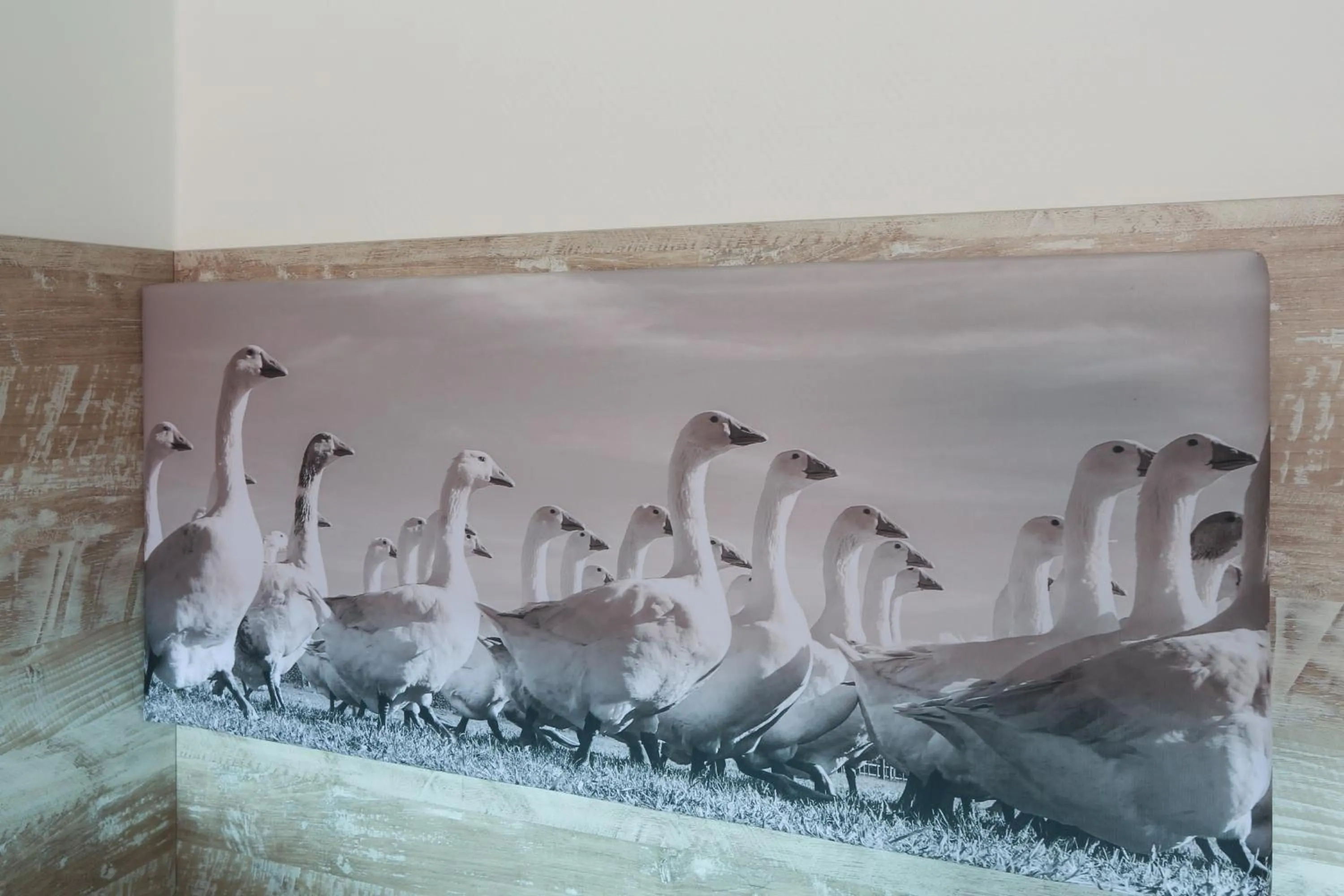 Bed in Hotel Gödecke