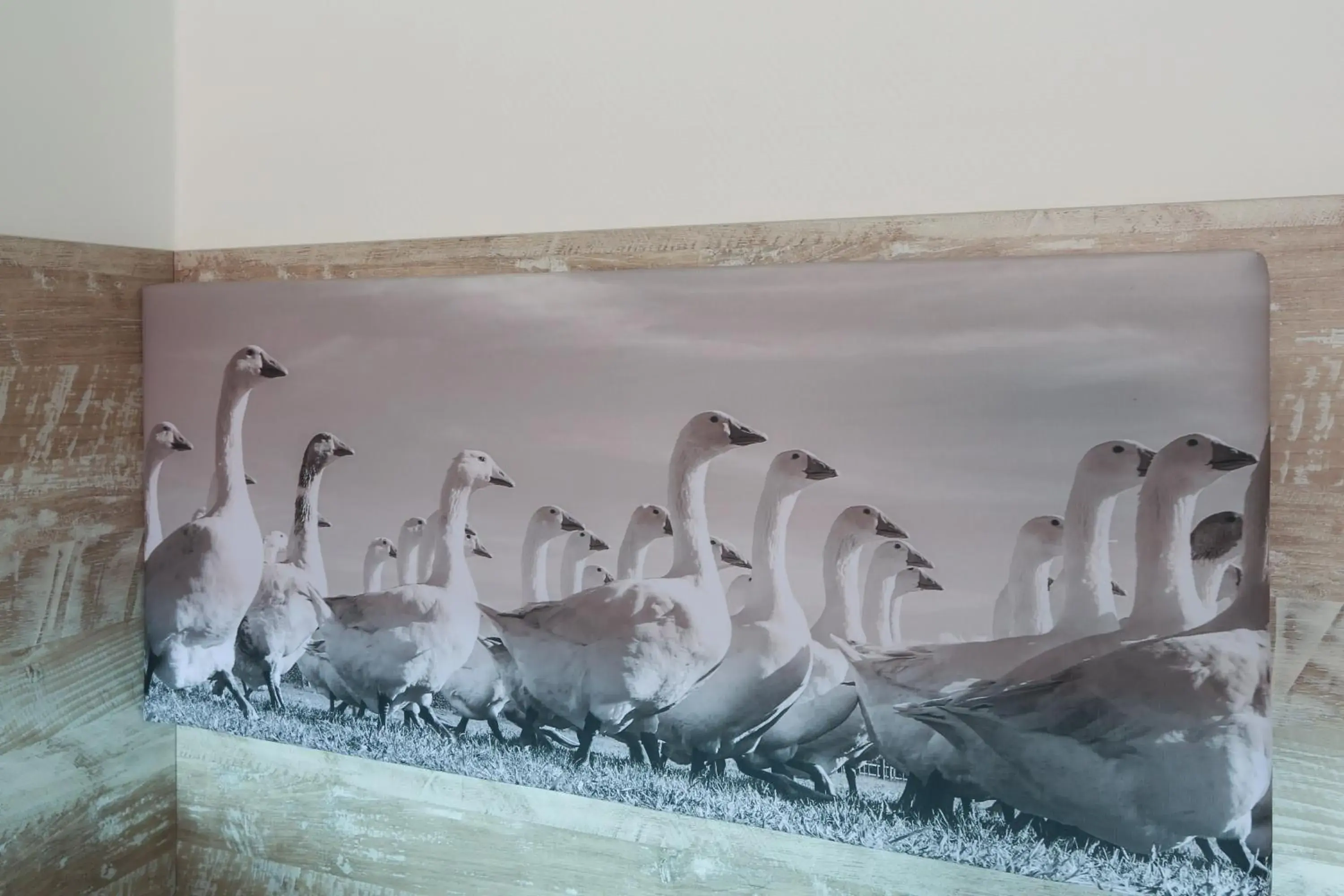 Single Room - single occupancy in Hotel Gödecke Single Room - single occupancy in Hotel Gödecke