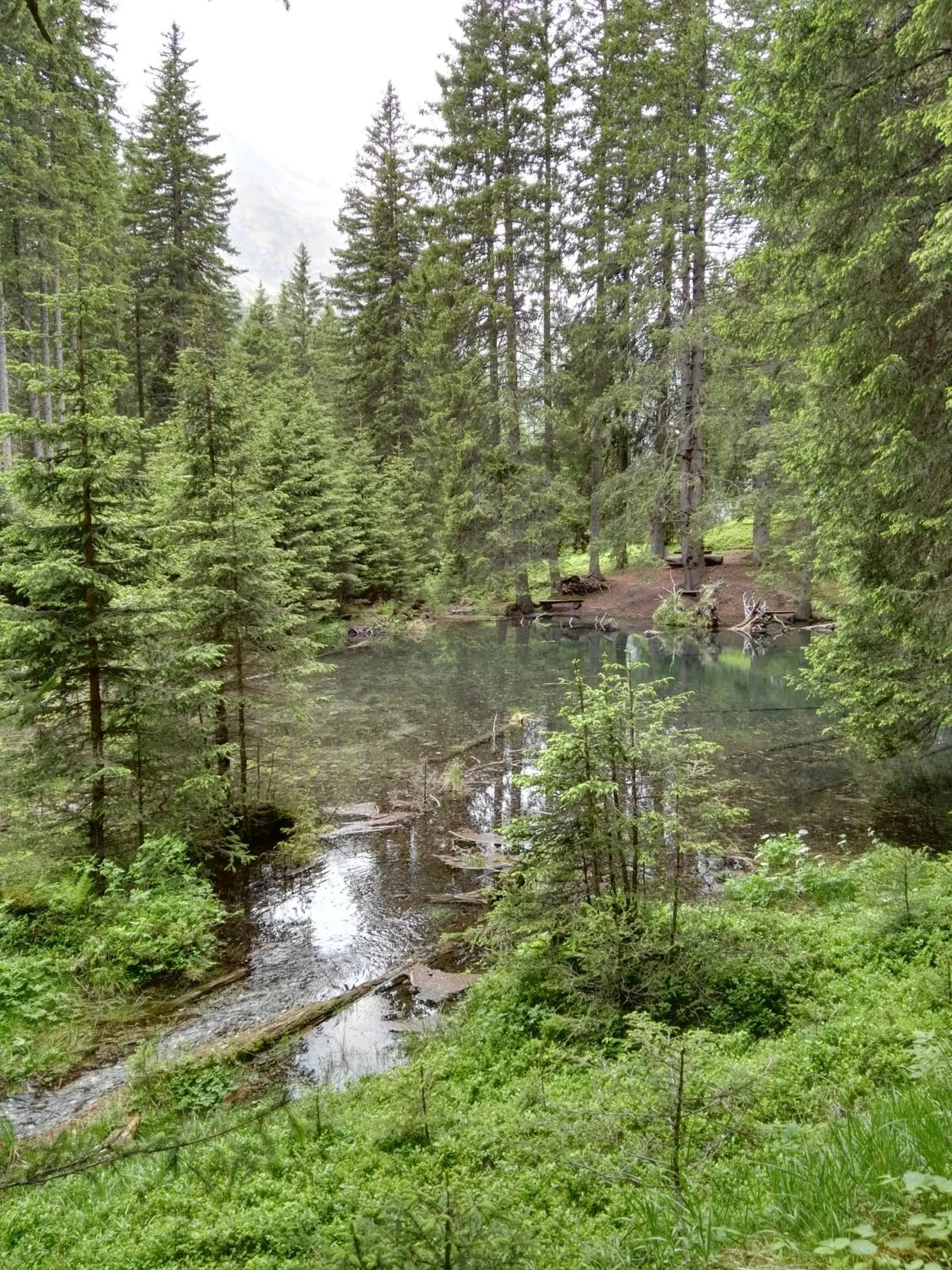 Natural landscape in Haus Groder