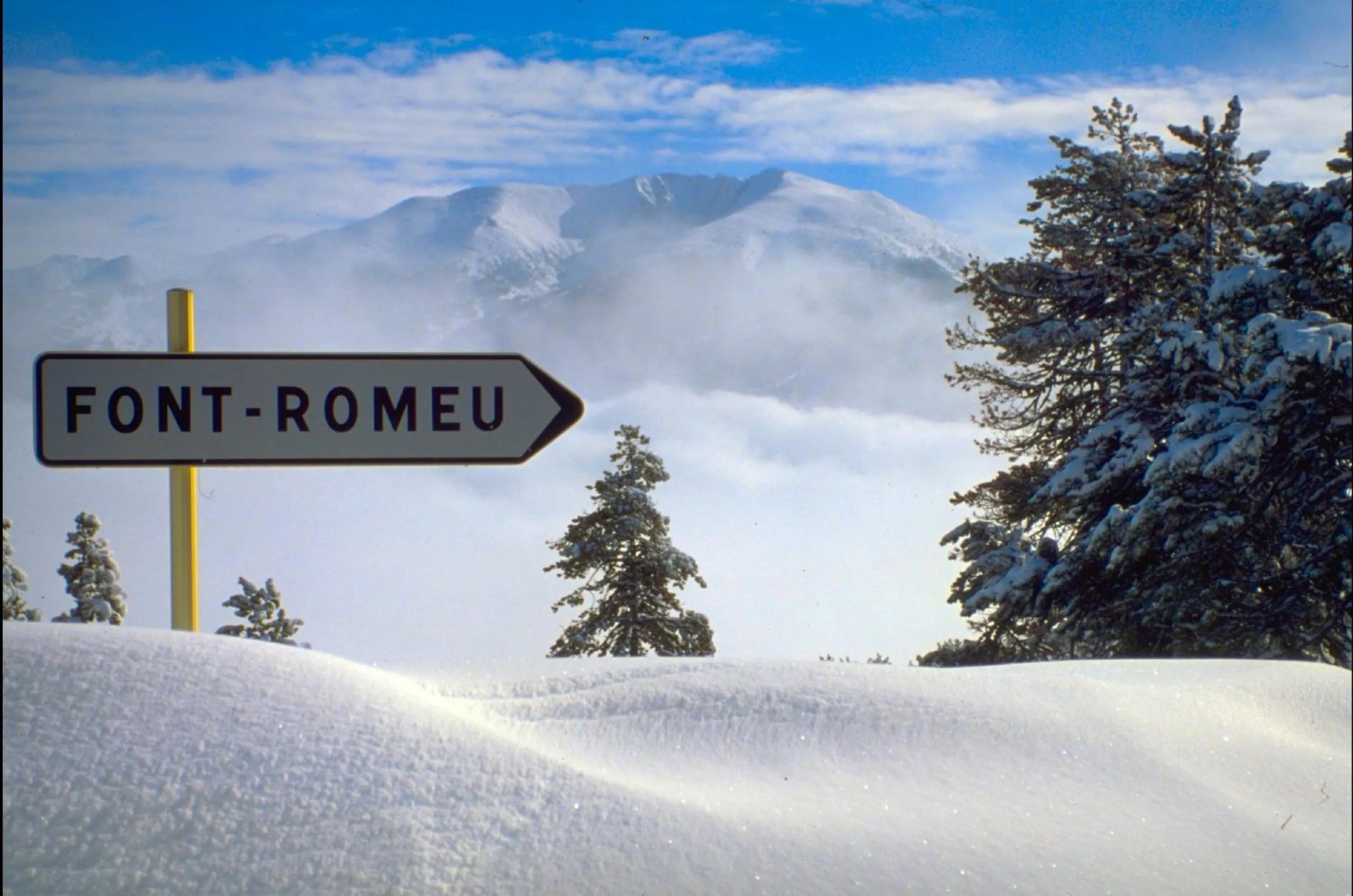 Area and facilities in Carlit