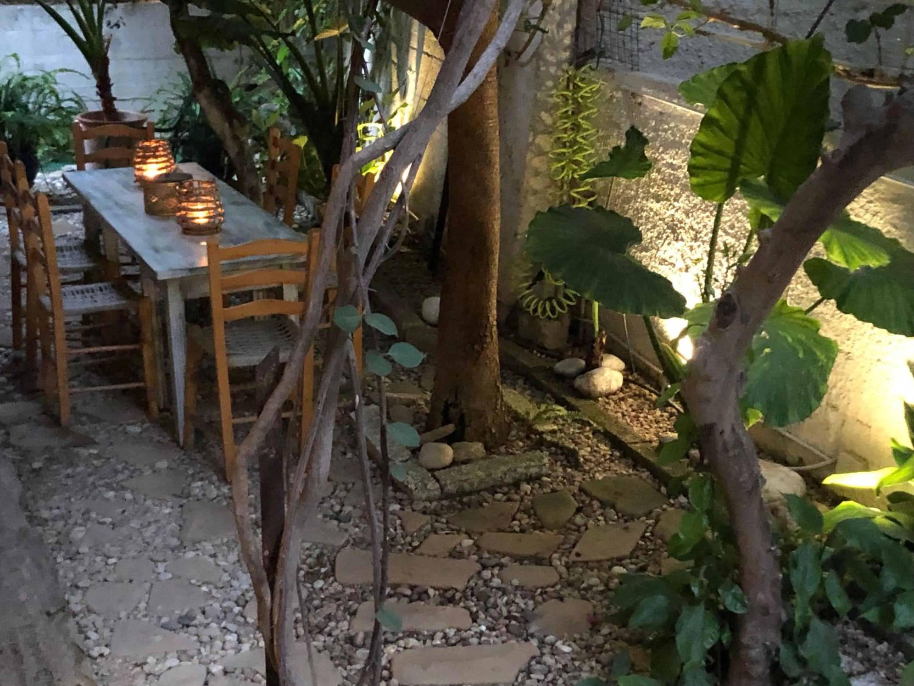 Garden in Rhodes Backpackers Boutique Hostel and Apartments