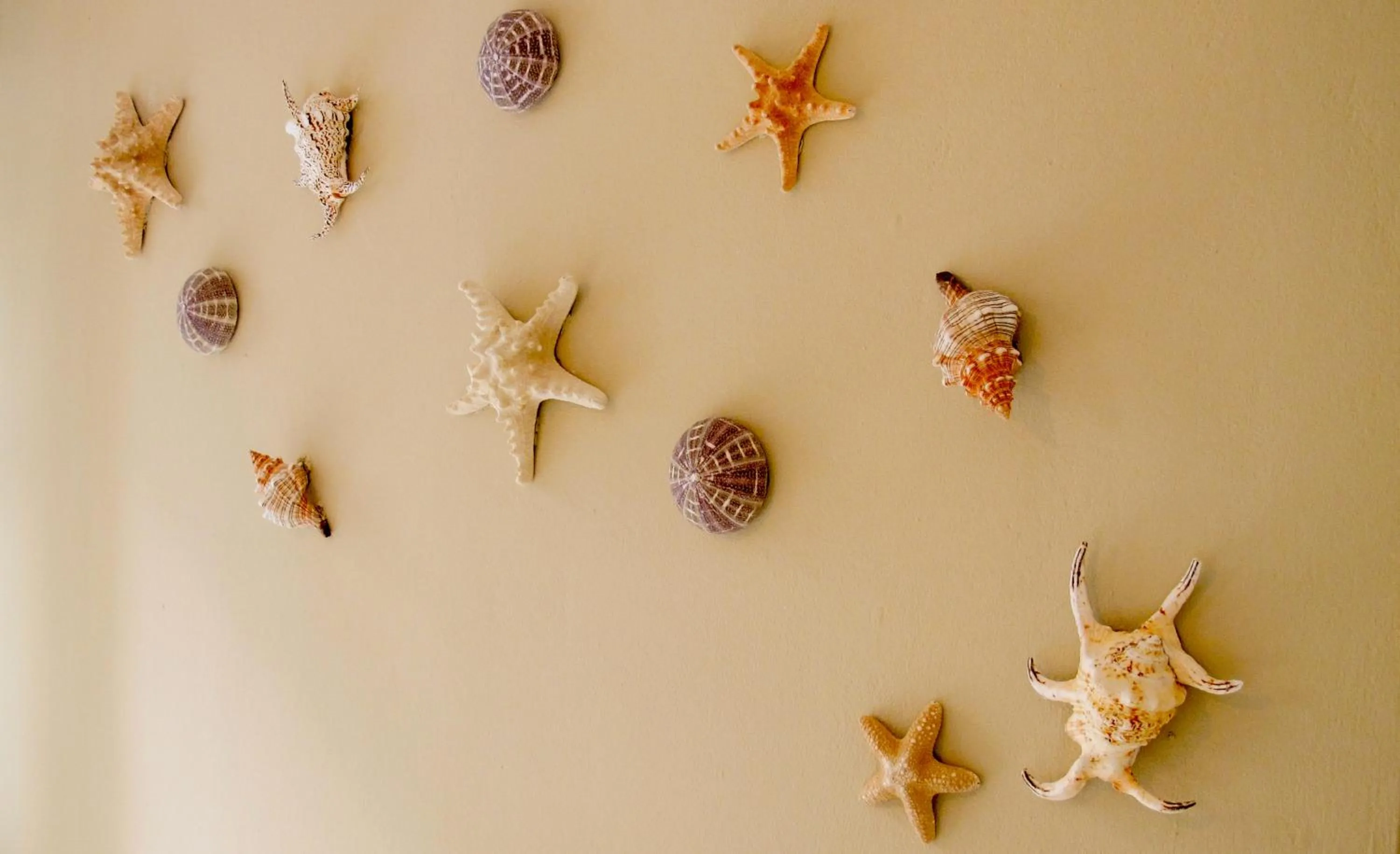 Rhodes Backpackers Boutique Hostel and Apartments