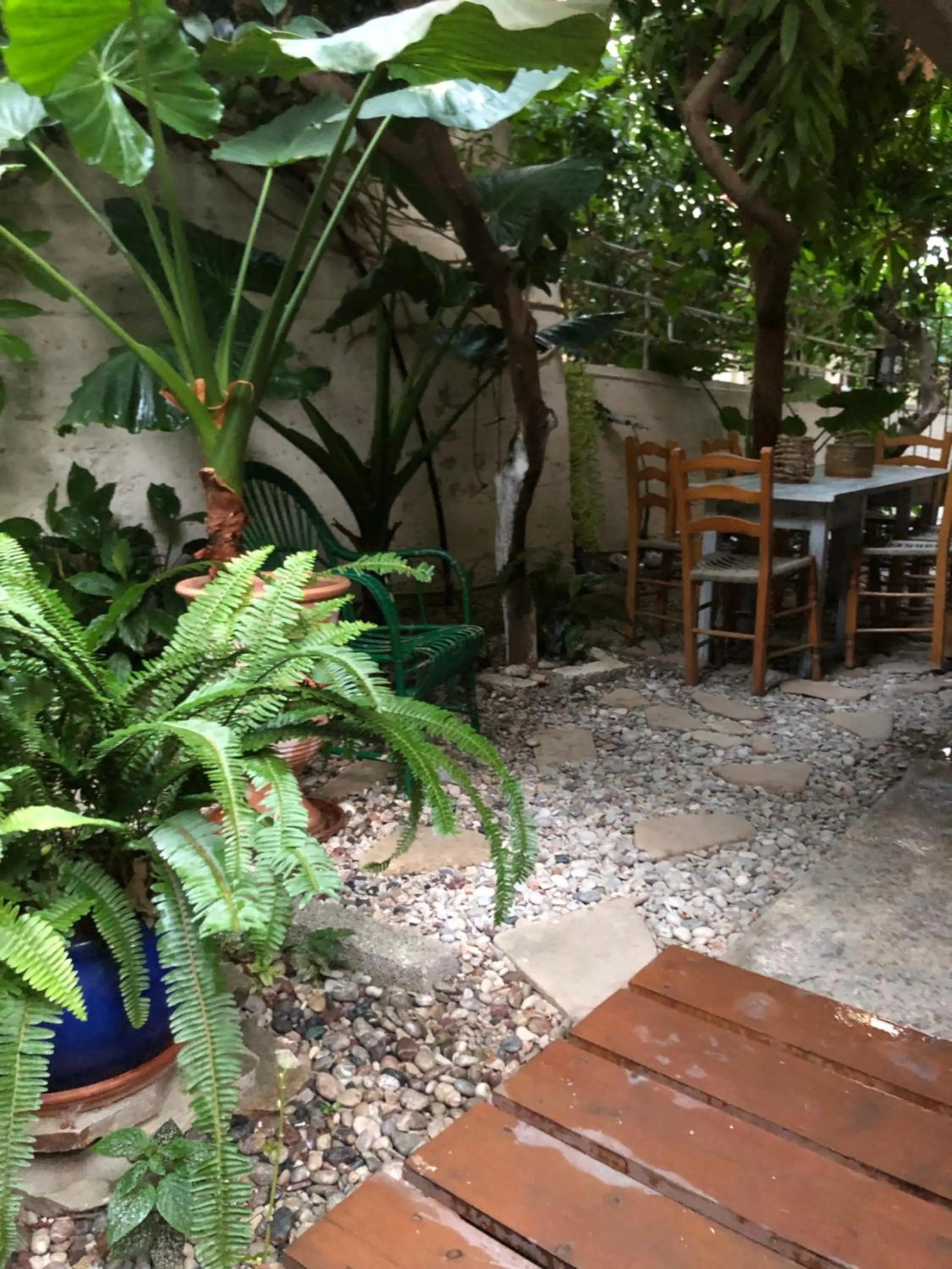 Garden in Rhodes Backpackers Boutique Hostel and Apartments