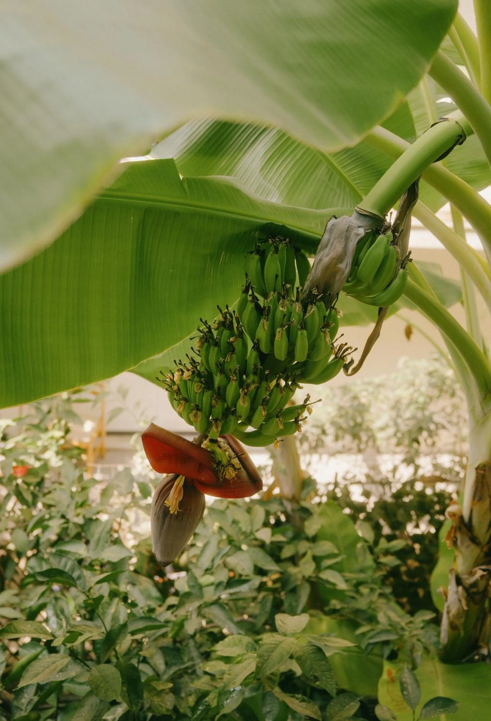 Rhodes Backpackers Boutique Hostel and Apartments