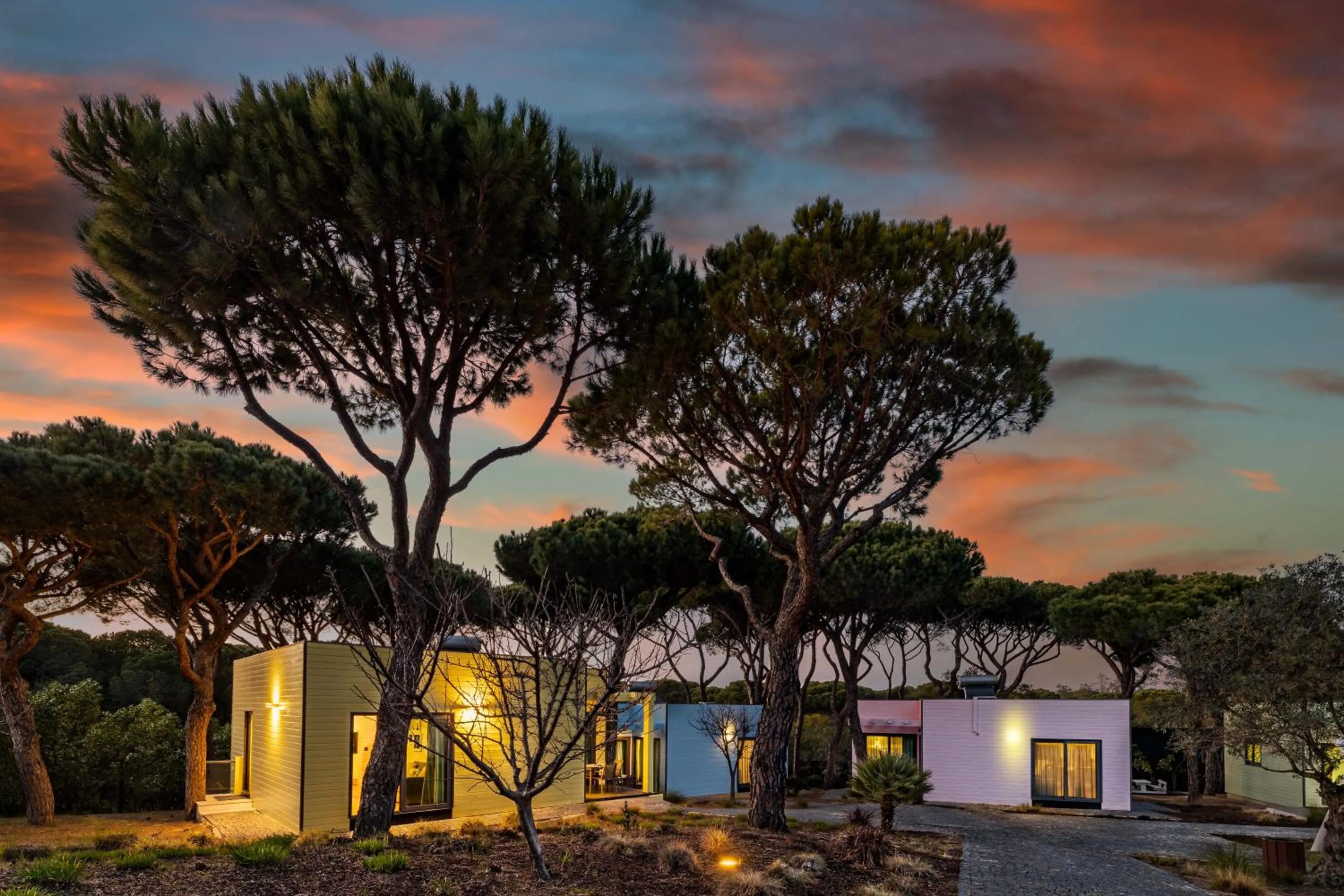 Property building in The Magnolia Hotel