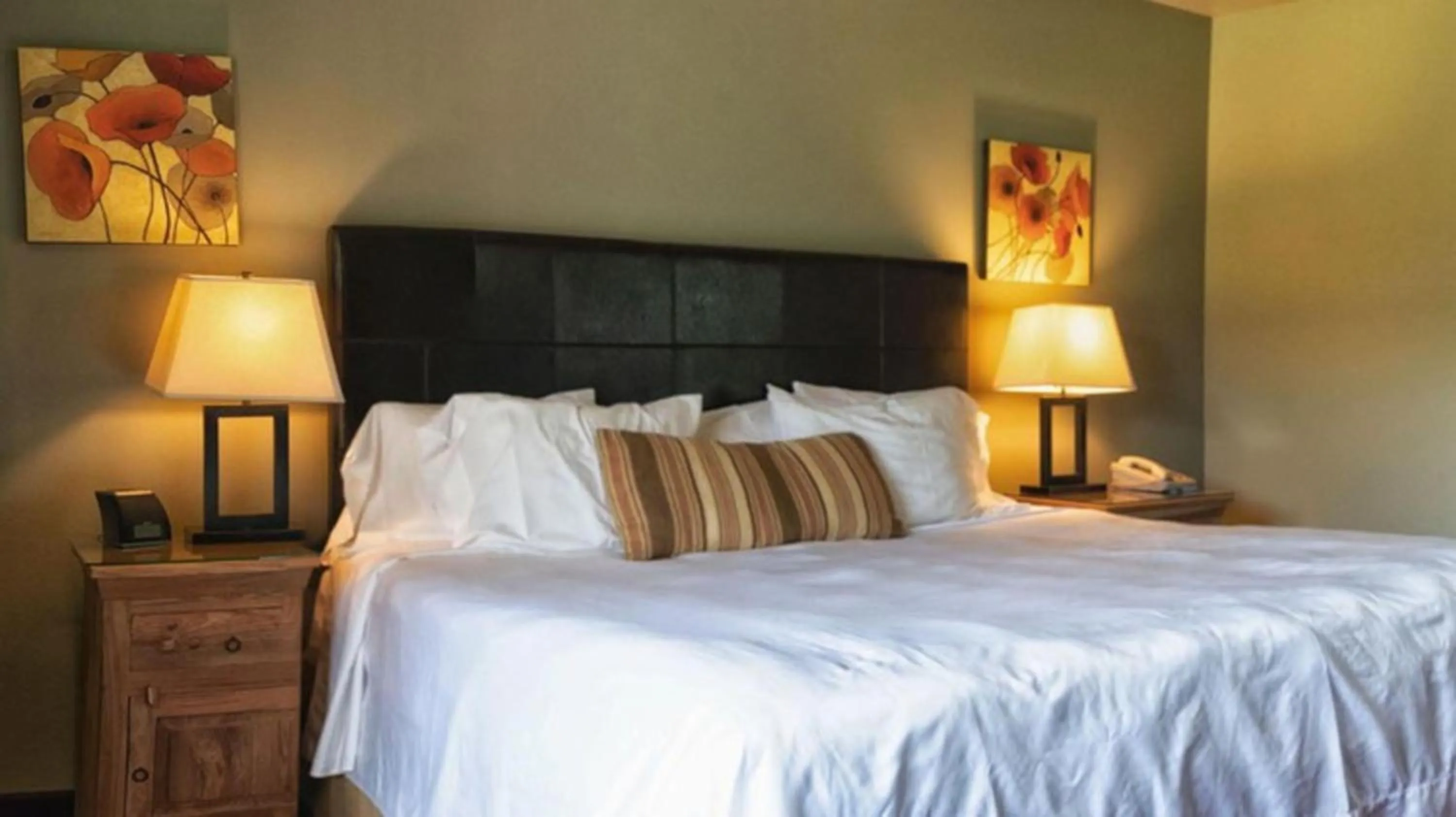 Compact King Room in Driftwood Lodge