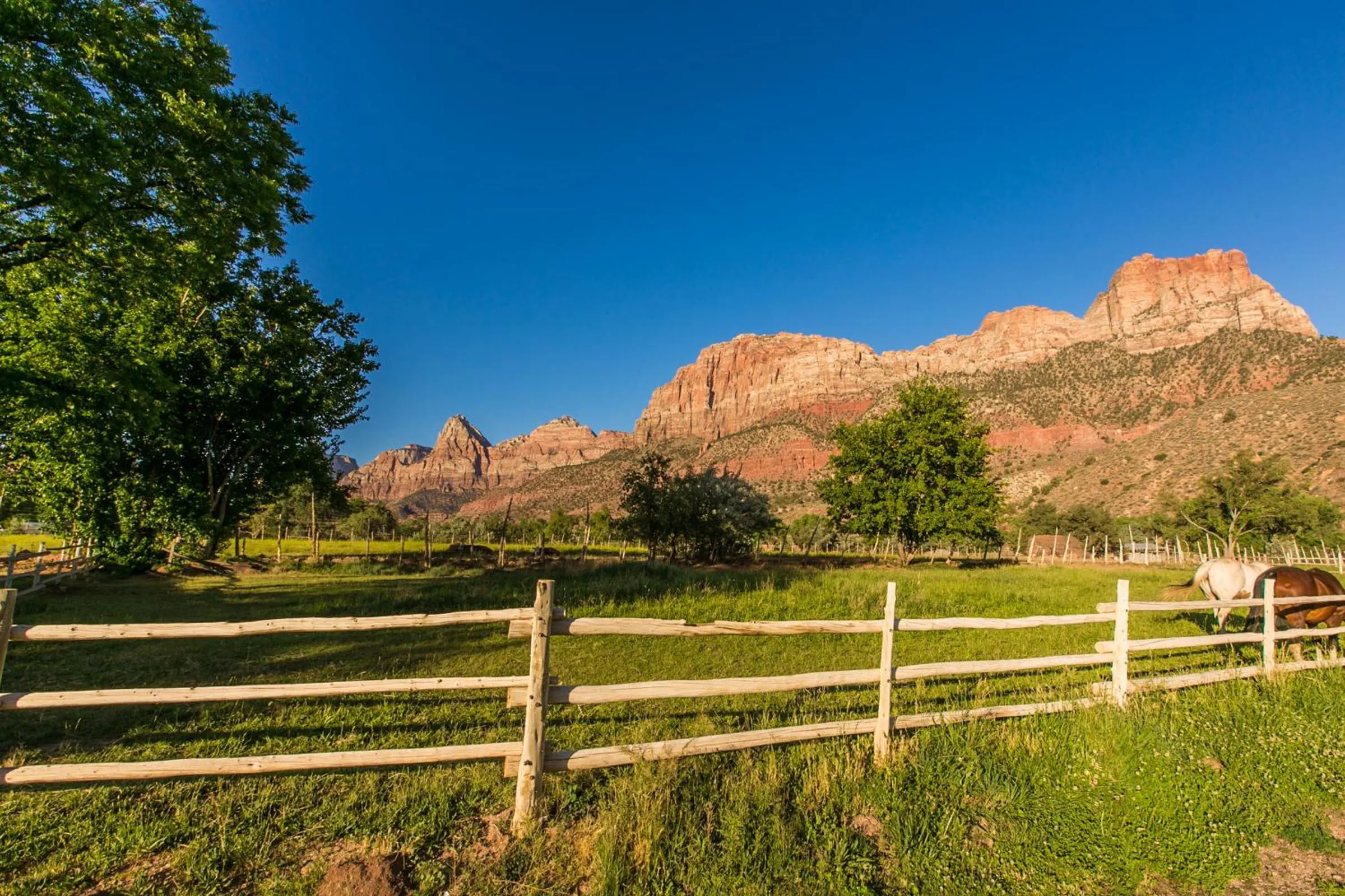 View (from property/room) in Driftwood Lodge