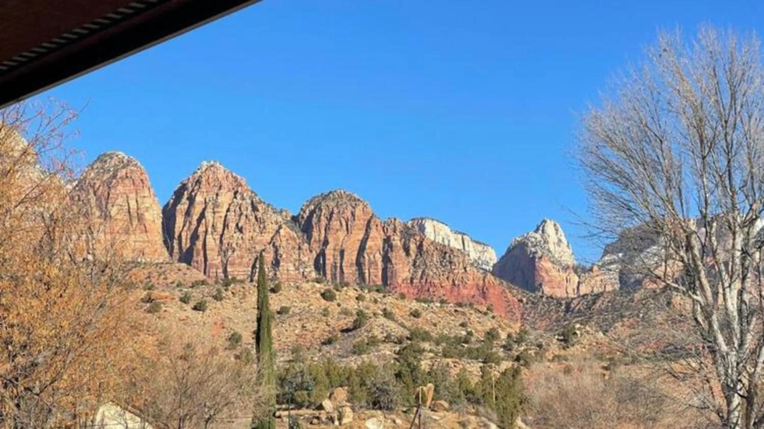 View (from property/room) in Driftwood Lodge