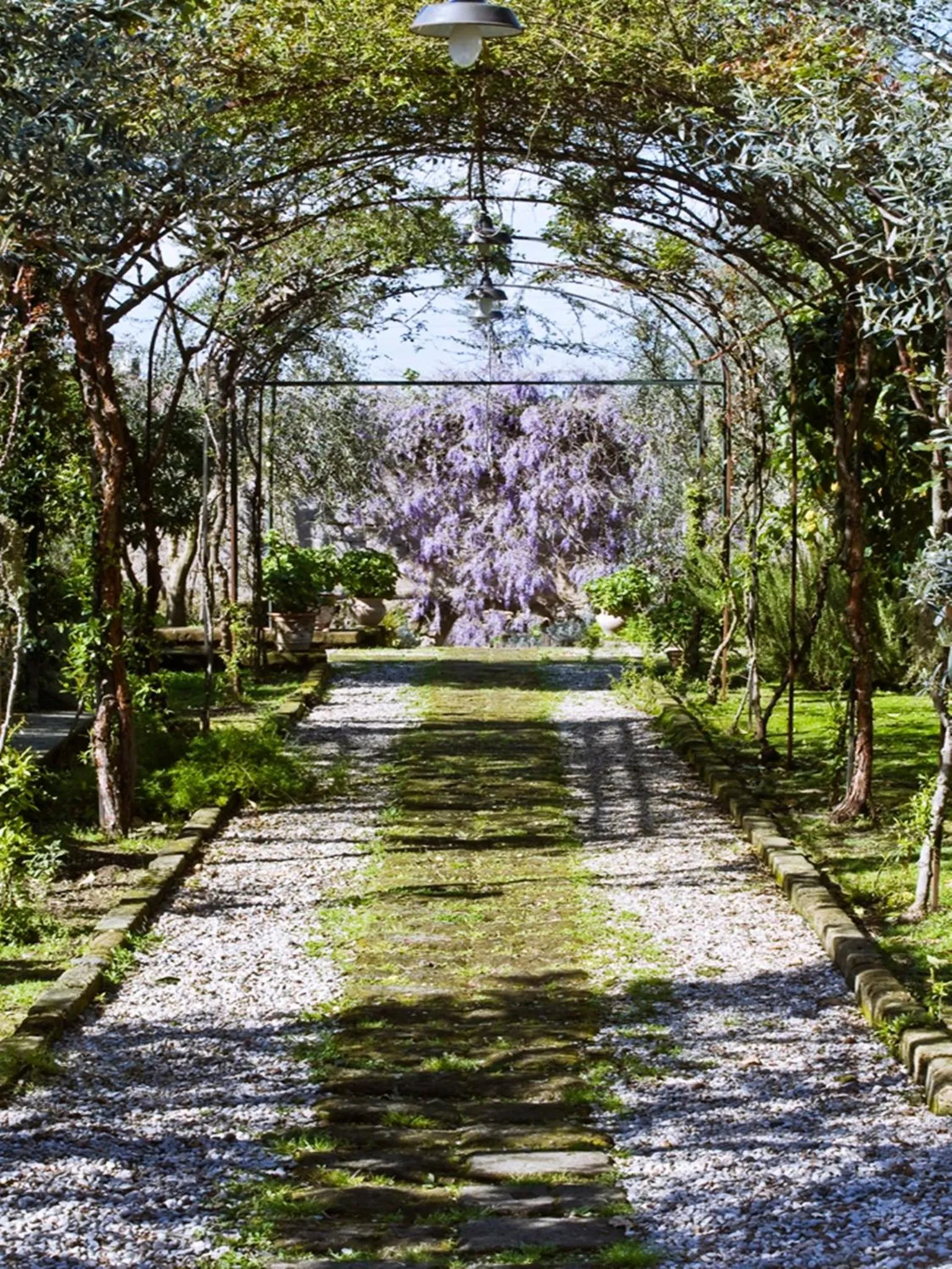 Garden in Suite Lidia B&B