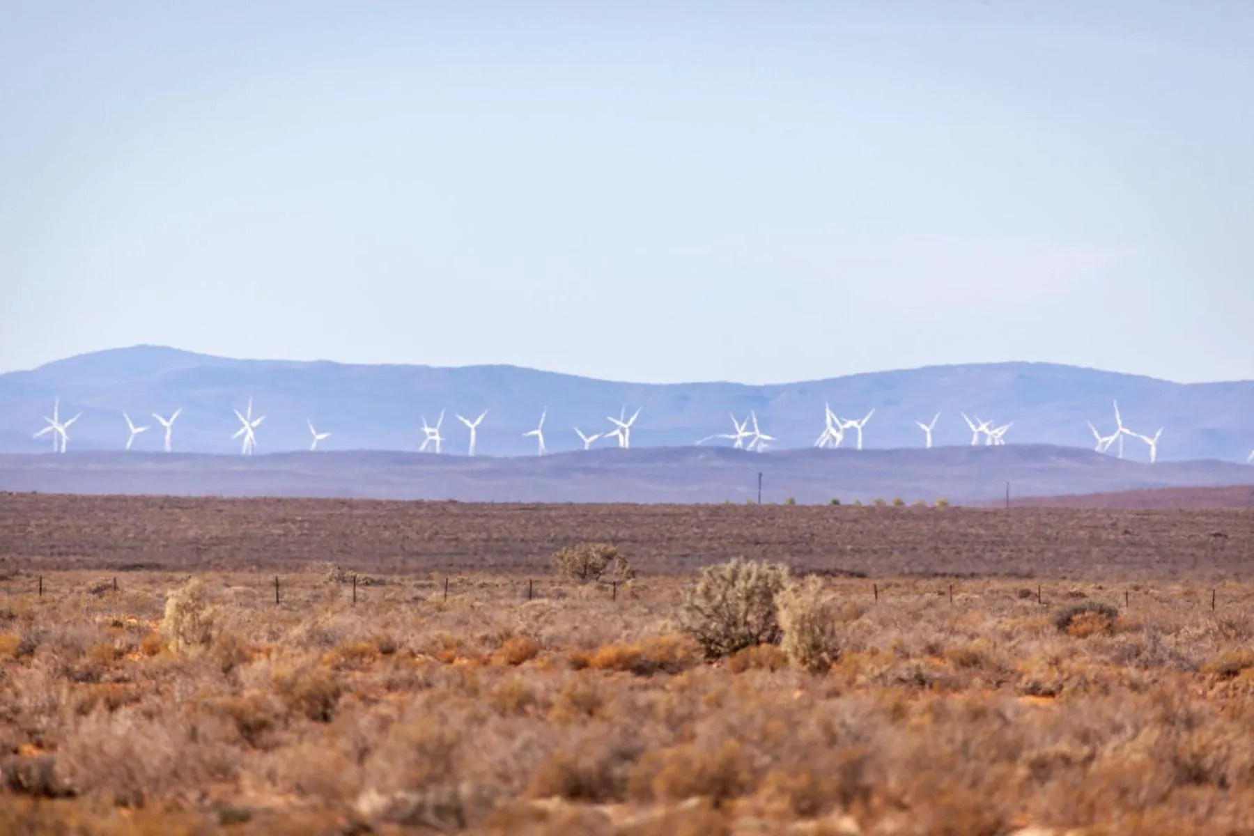 Natural landscape in Inverdoorn Game Reserve Lodge
