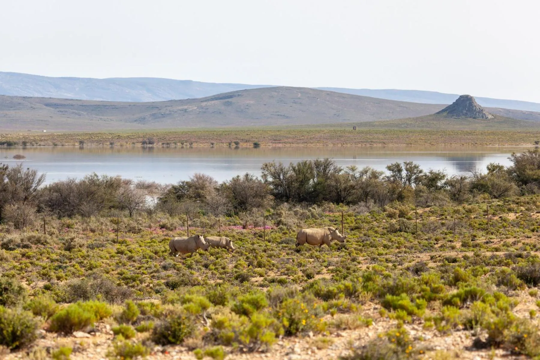 Lake view in Inverdoorn Game Reserve Lodge